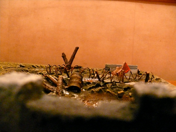 Guardsman's eye view
