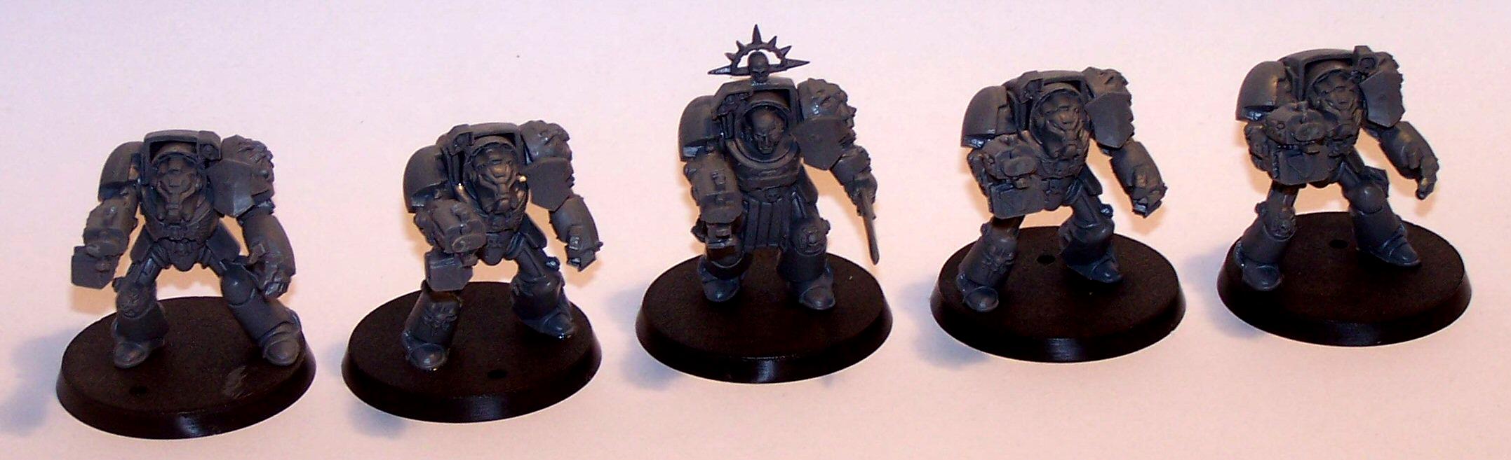 Space Marines, Black Reach Termies