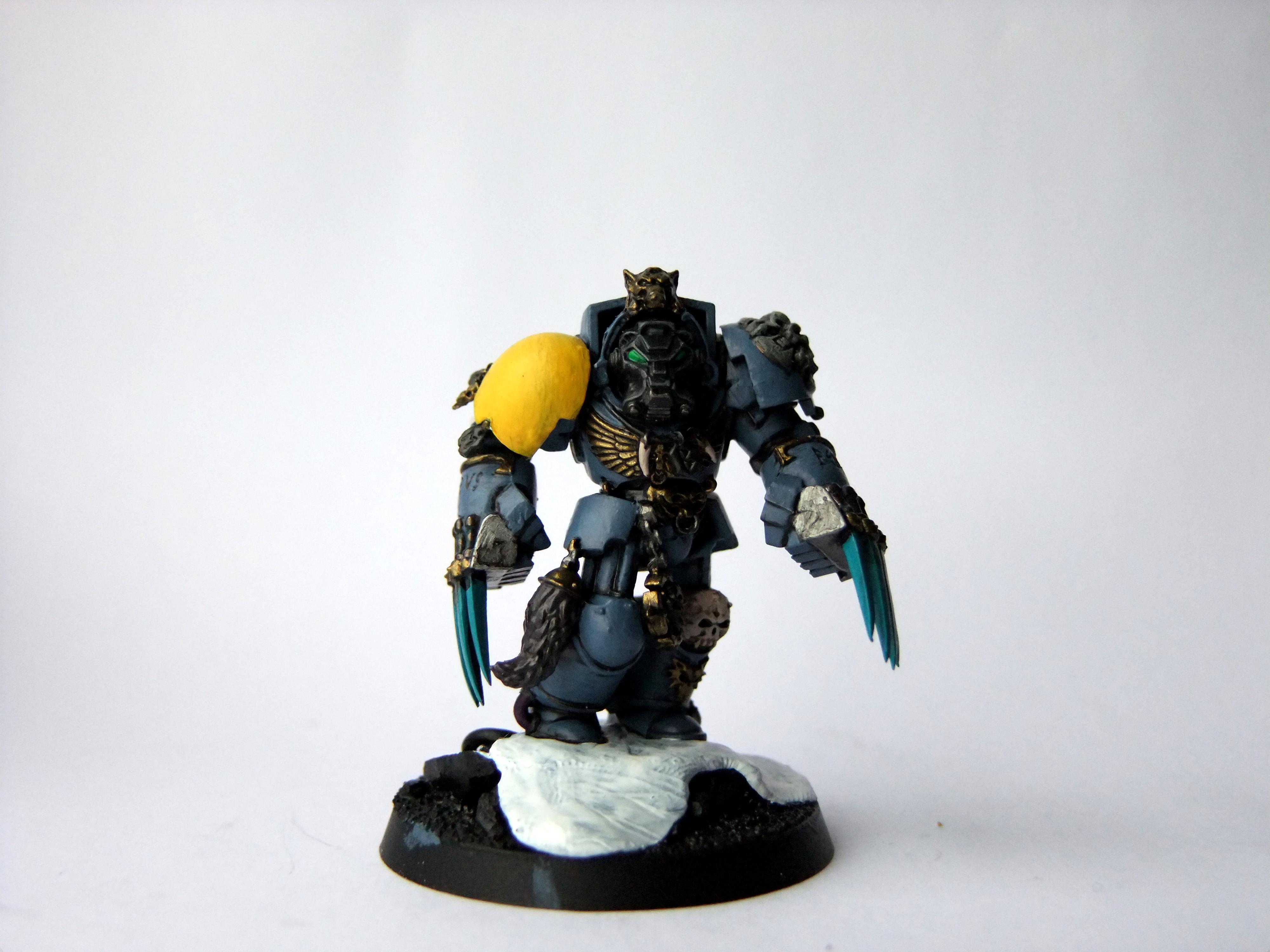 Lightning Claws, Space Marines, Space Wolves