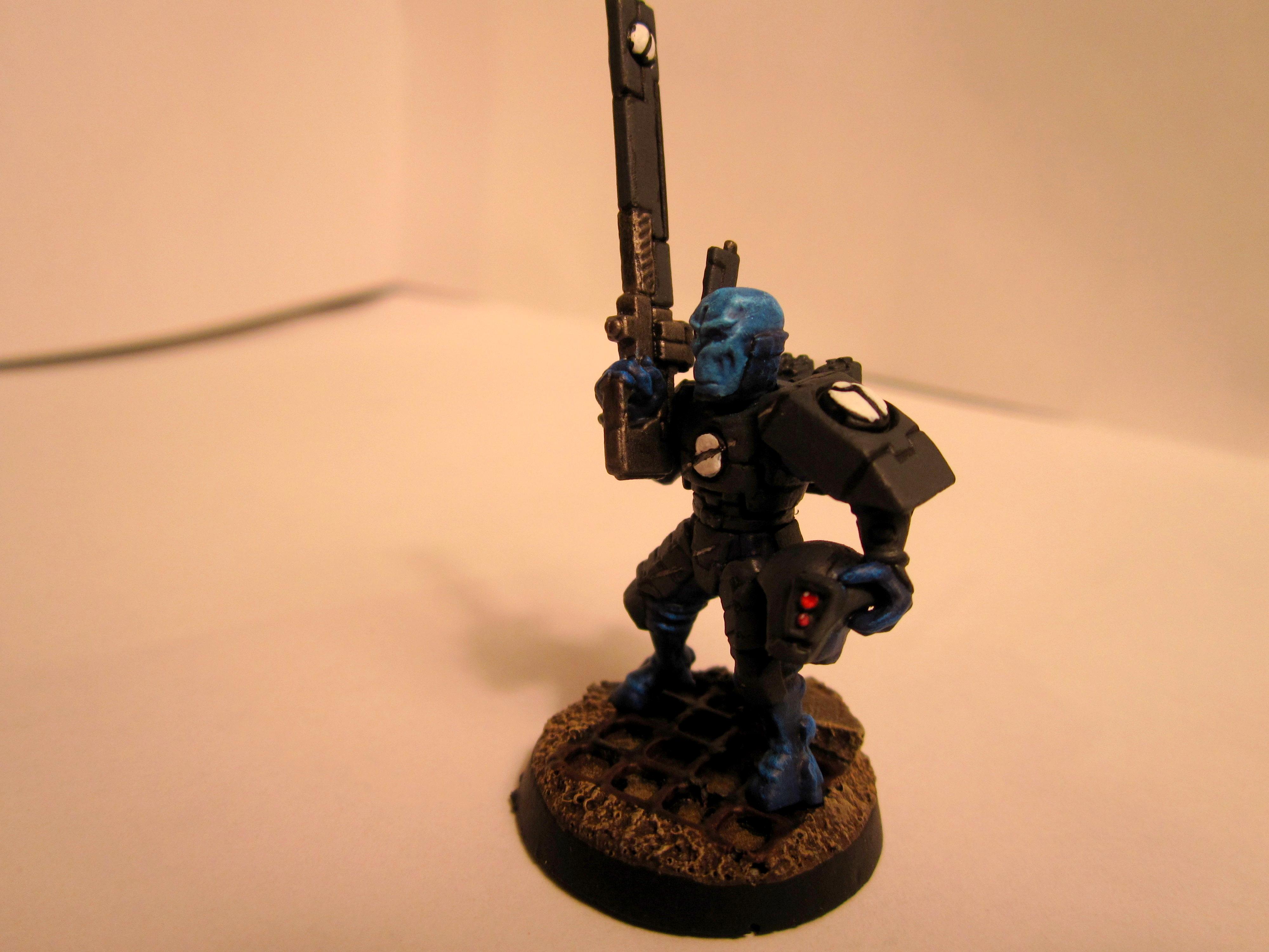 Fire Warriors, Tau