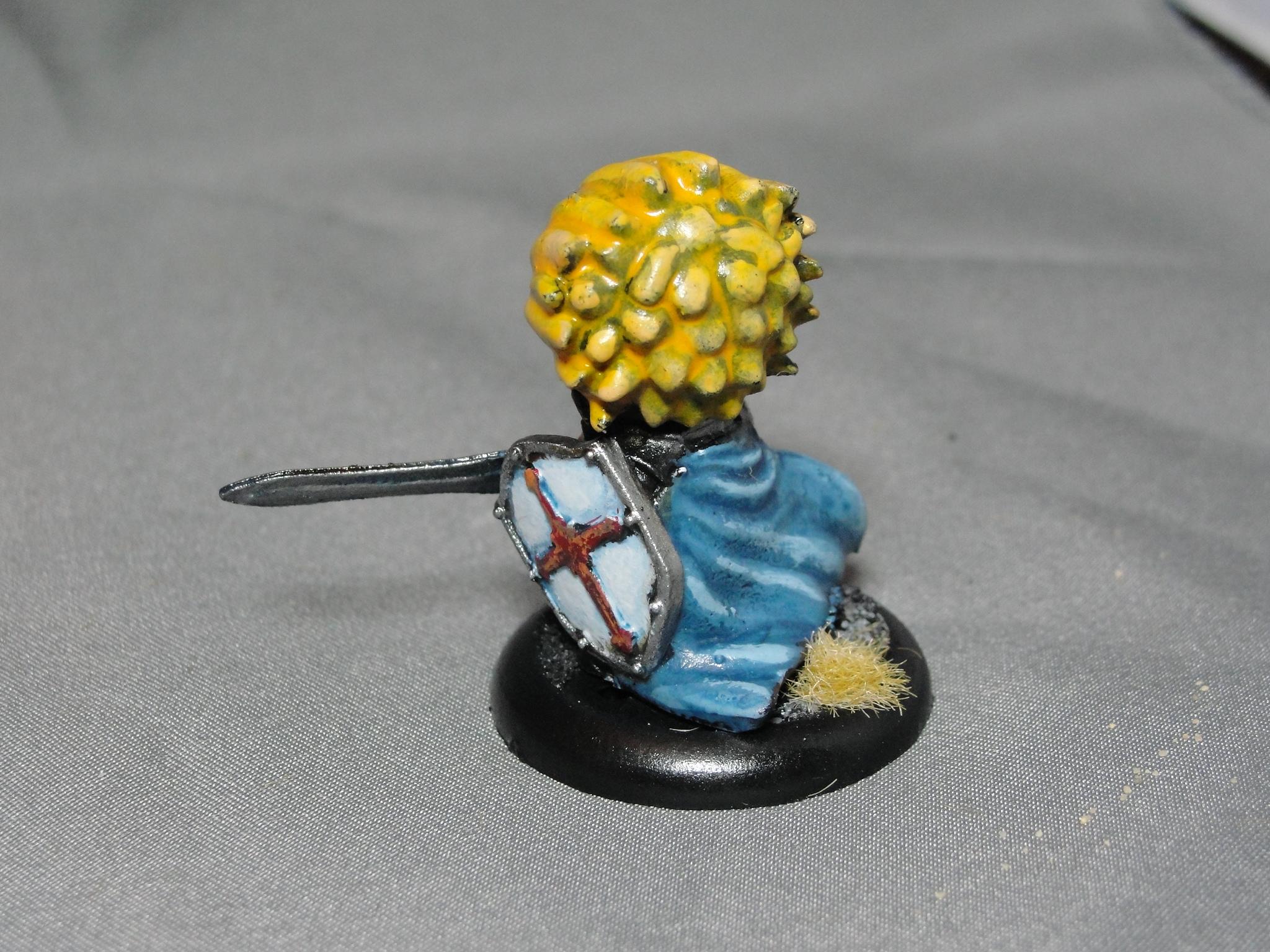 Fantasy, Dungeons and Dragons, Paladin, Super Dungeon Explore