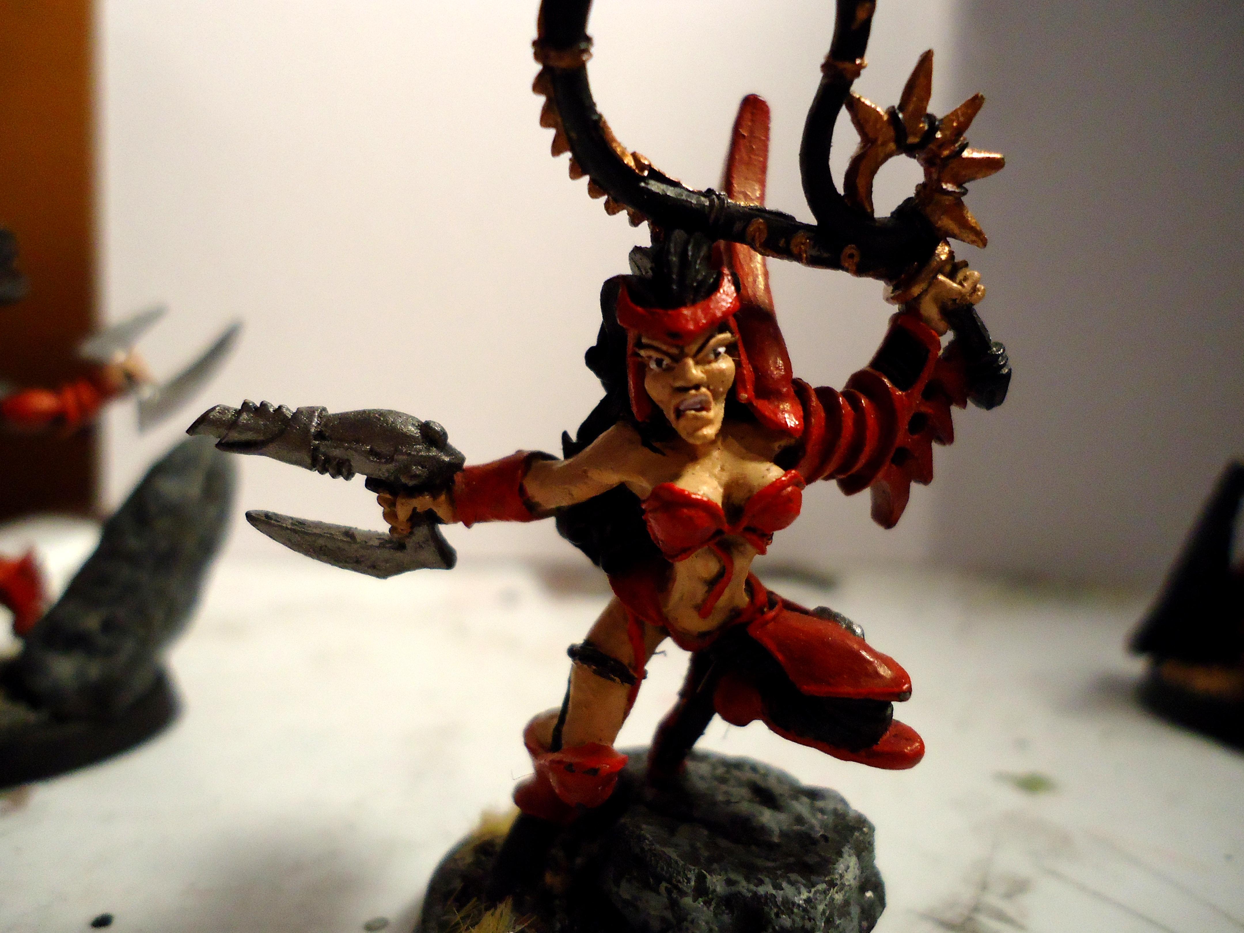 Dark Eldar, Dark eldar wych succubus