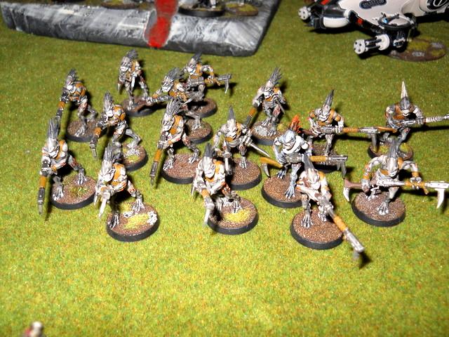 Kroot, Kroot Carnivores, T'au, T'au Empire, Tau