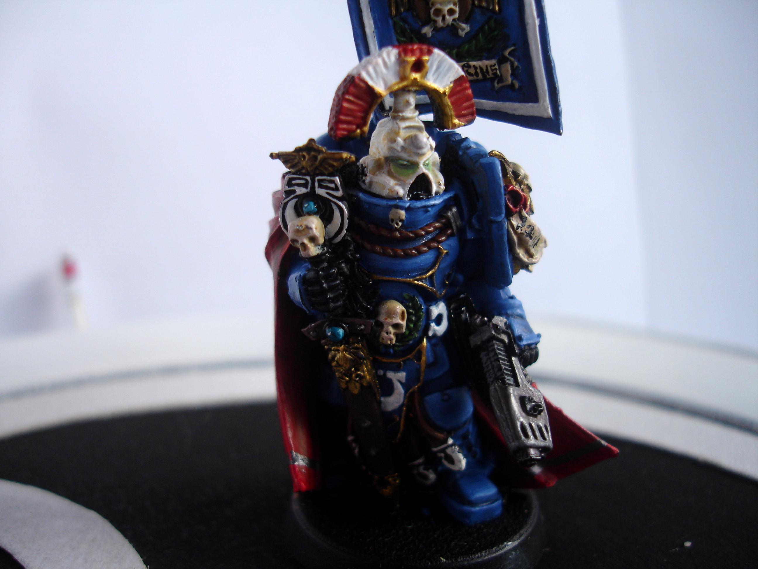 Sicarius