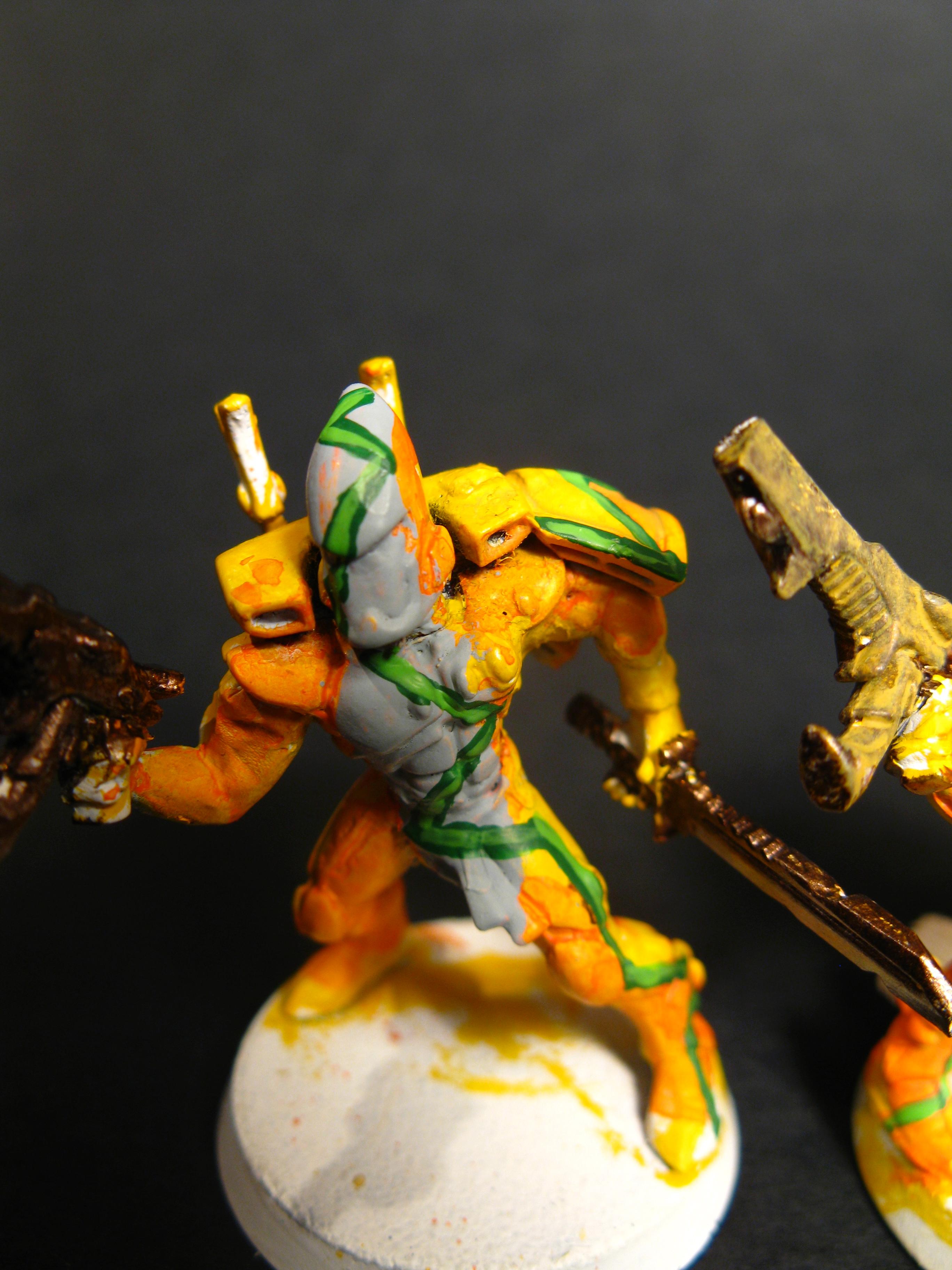 Eldar, Guardians
