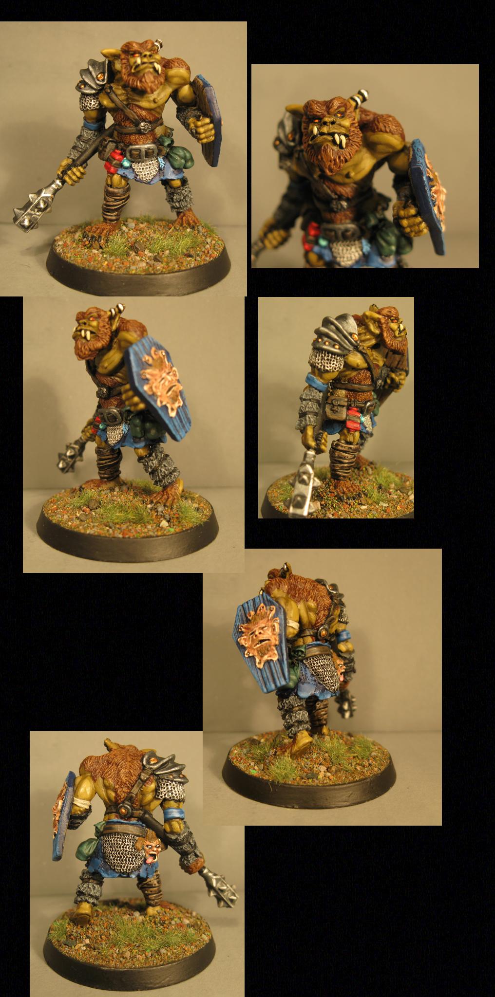 Pathfinders, Pro Painted, Reaper, Reaper Miniatures, Reaper Minis, Rpg, Warhammer Fantasy