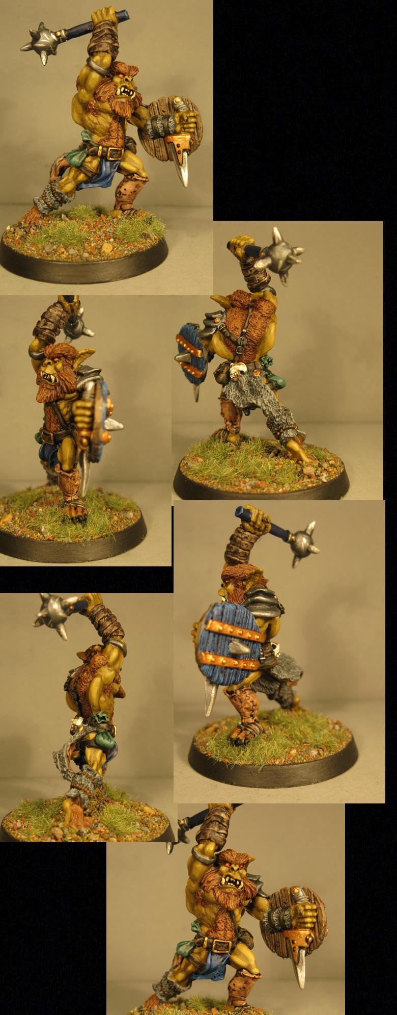 Pathfinders, Pro Painted, Reaper, Reaper Miniatures, Reaper Minis, Rpg, Warhammer Fantasy
