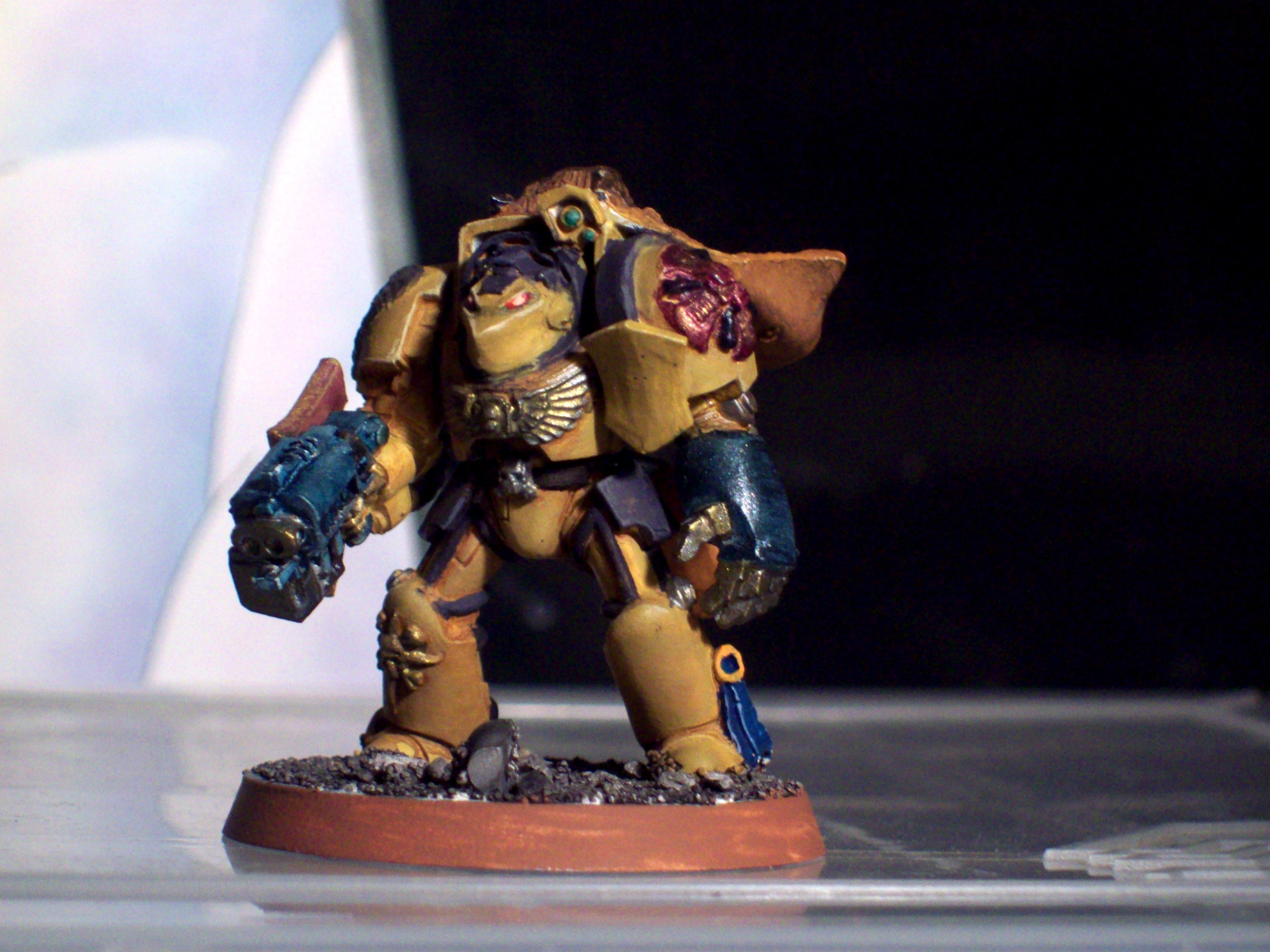 Custom, Nifty, Rabbit, Space Marines, Terminator Armor