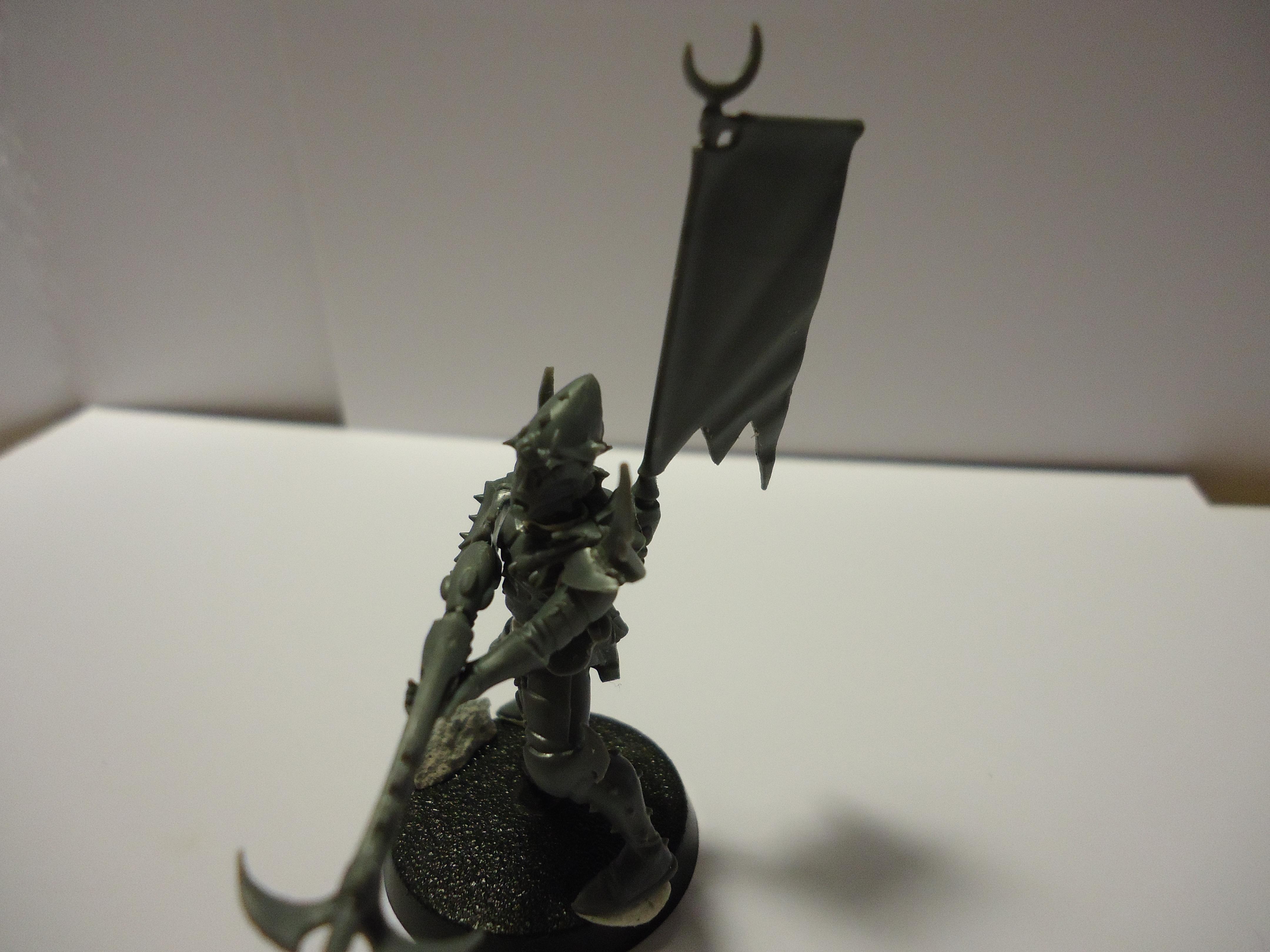 Dark Eldar