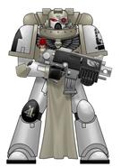 Boltgun, Painter, Space Marines, White