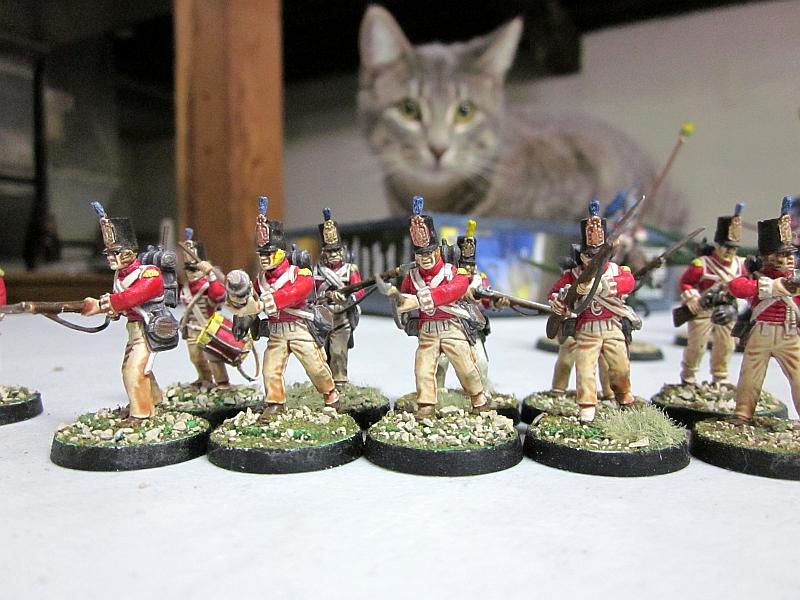 England, Historical, Ig Napoleonic Victrix, Imperial Guard, Napoleonic, Victrix