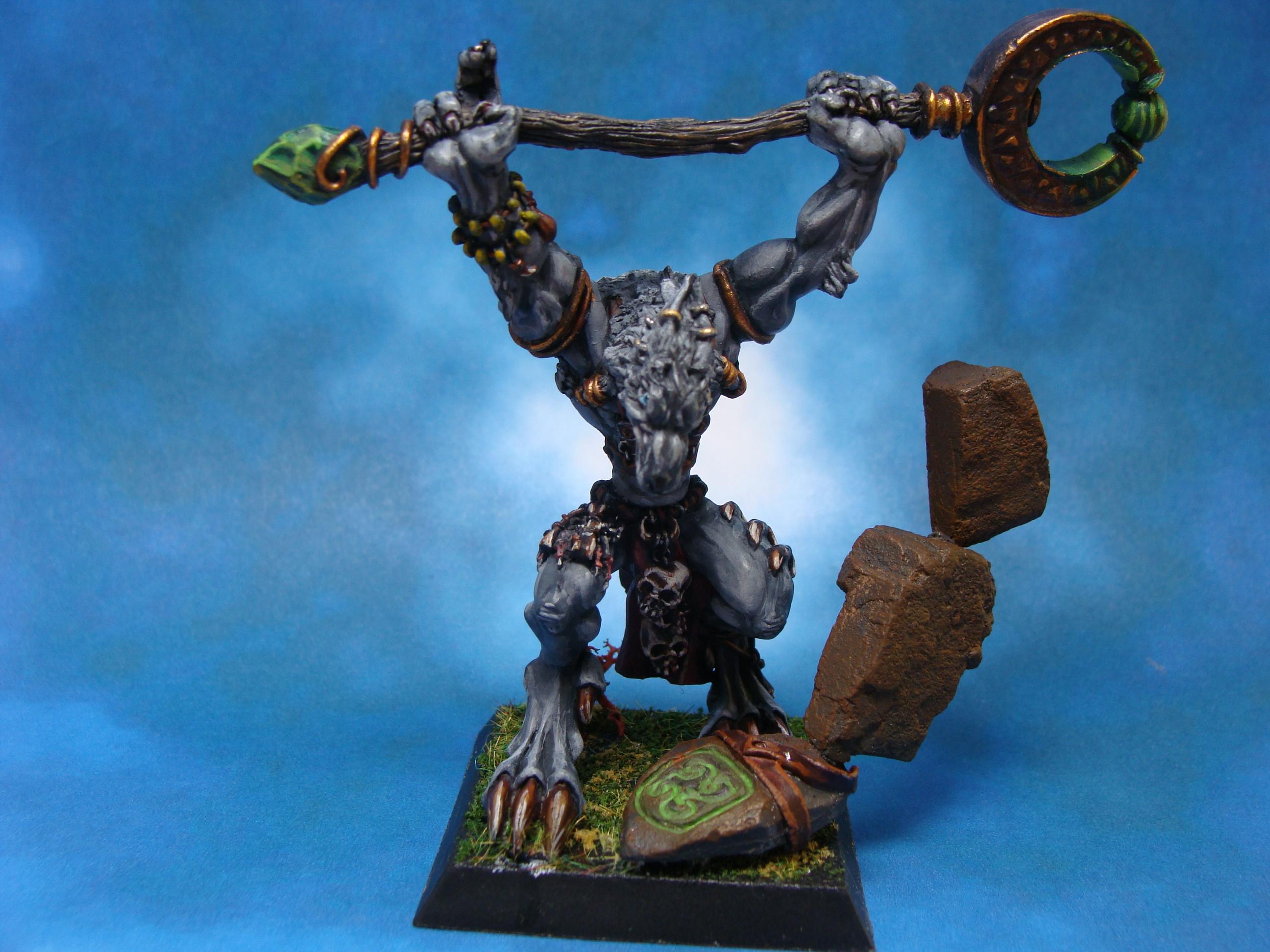 Mage, Out Of Production, Rackham, Scorcerer, Shaman, Warhammer Fantasy, Wolven