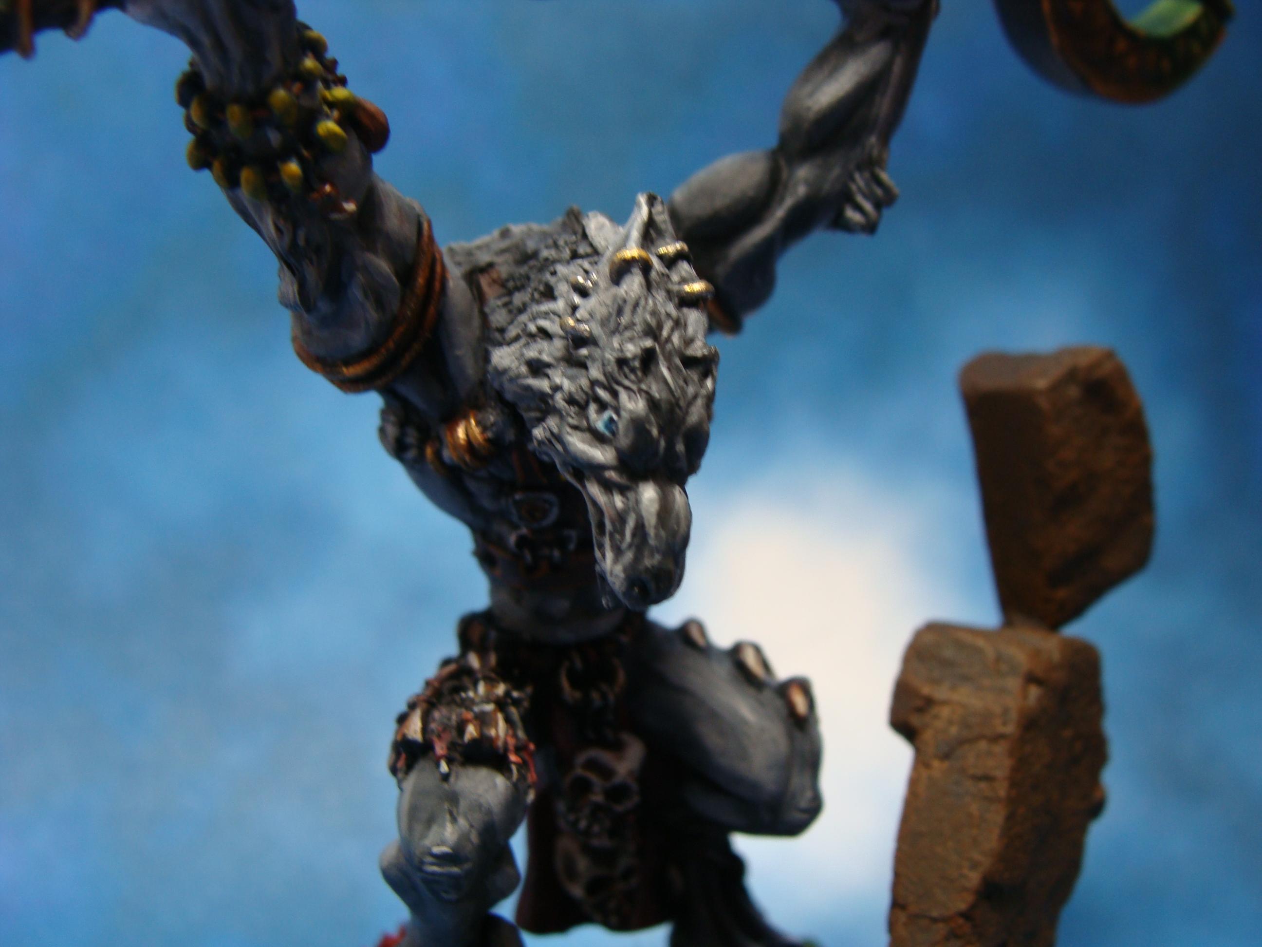 Mage, Out Of Production, Rackham, Scorcerer, Shaman, Warhammer Fantasy, Wolven