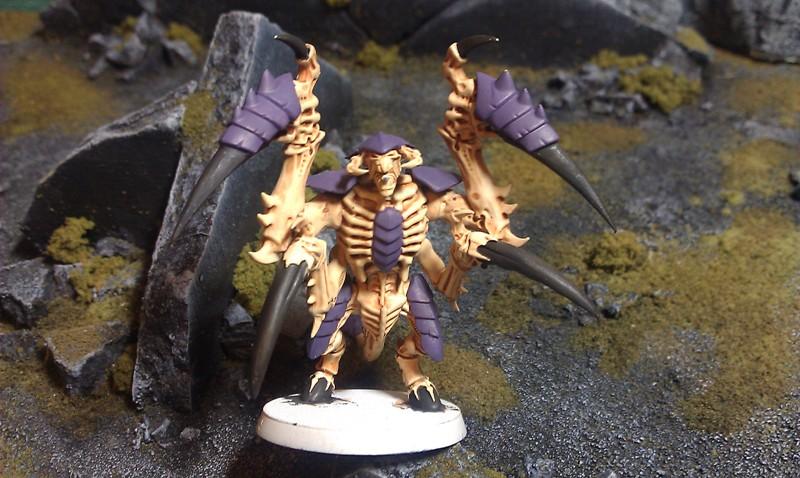 alpha warrior front. made from bits of ravener. (i read somewhere they were a similar genus or something and thought they might blend well together)
