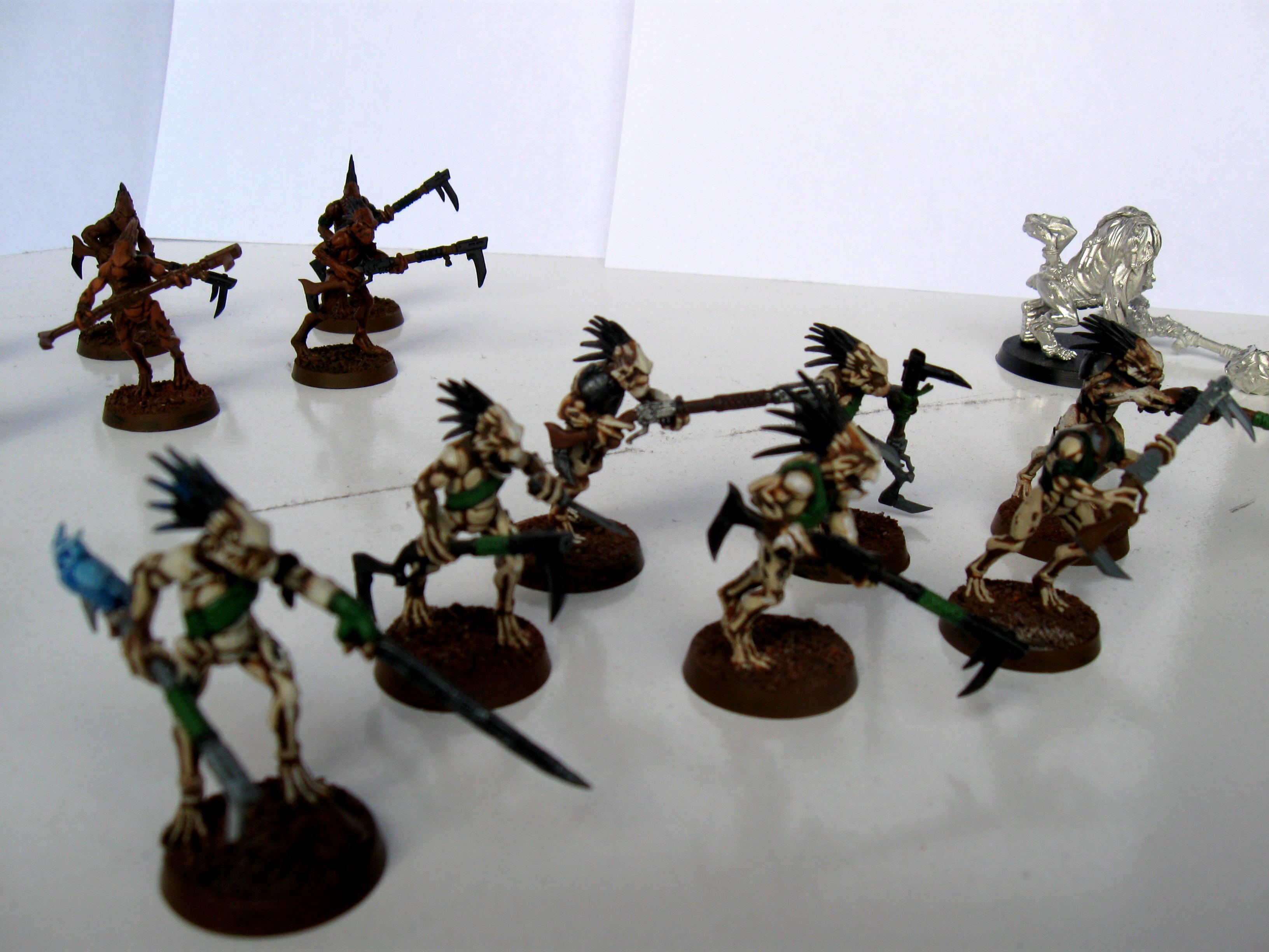 Kroot, Kroot Carnivores