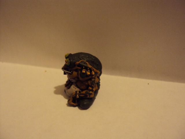 Hypnotoad, Lizardmen, Slaan Mage-priest, Warhammer Fantasy