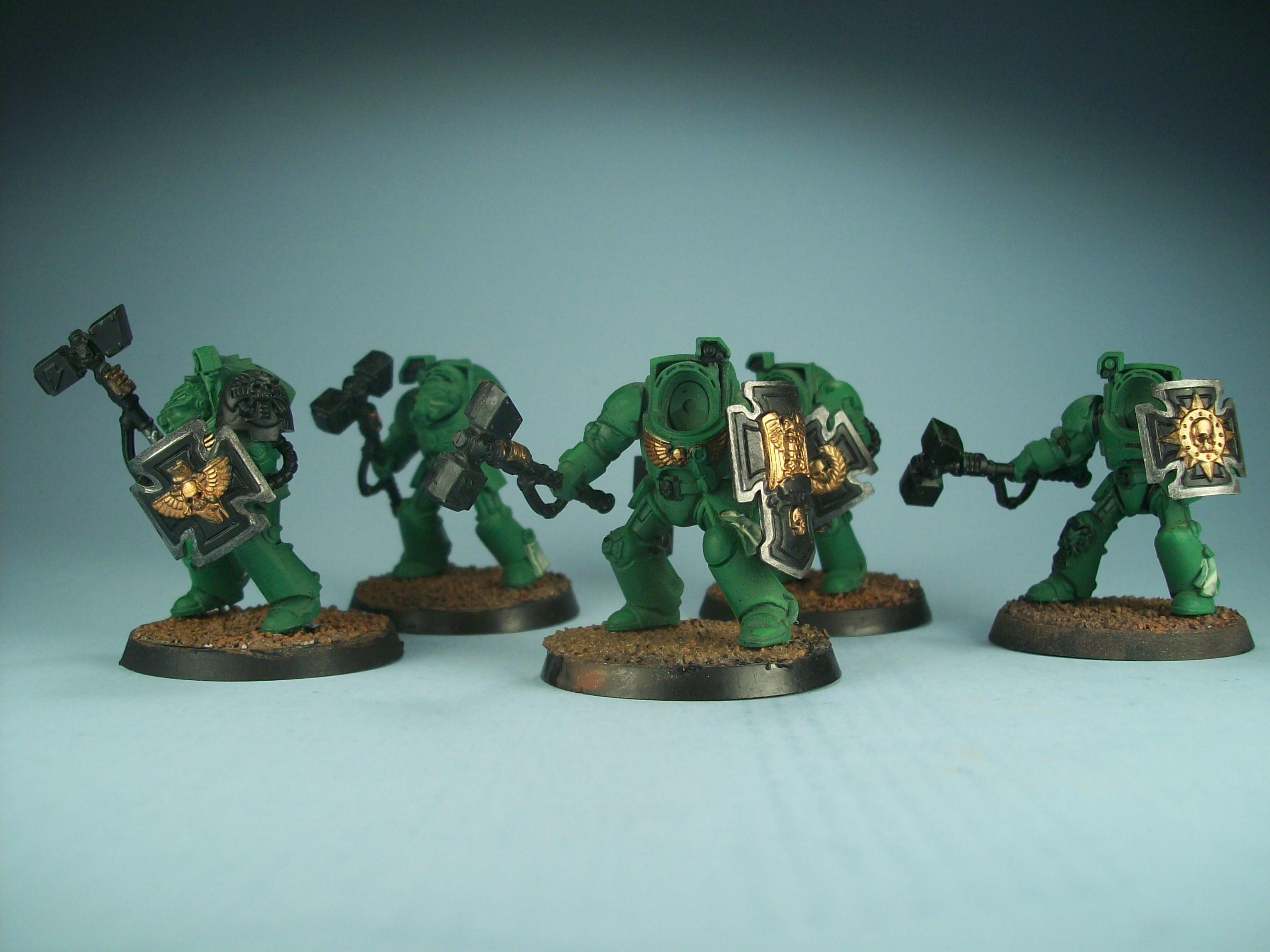 Salamander Terminators Wip