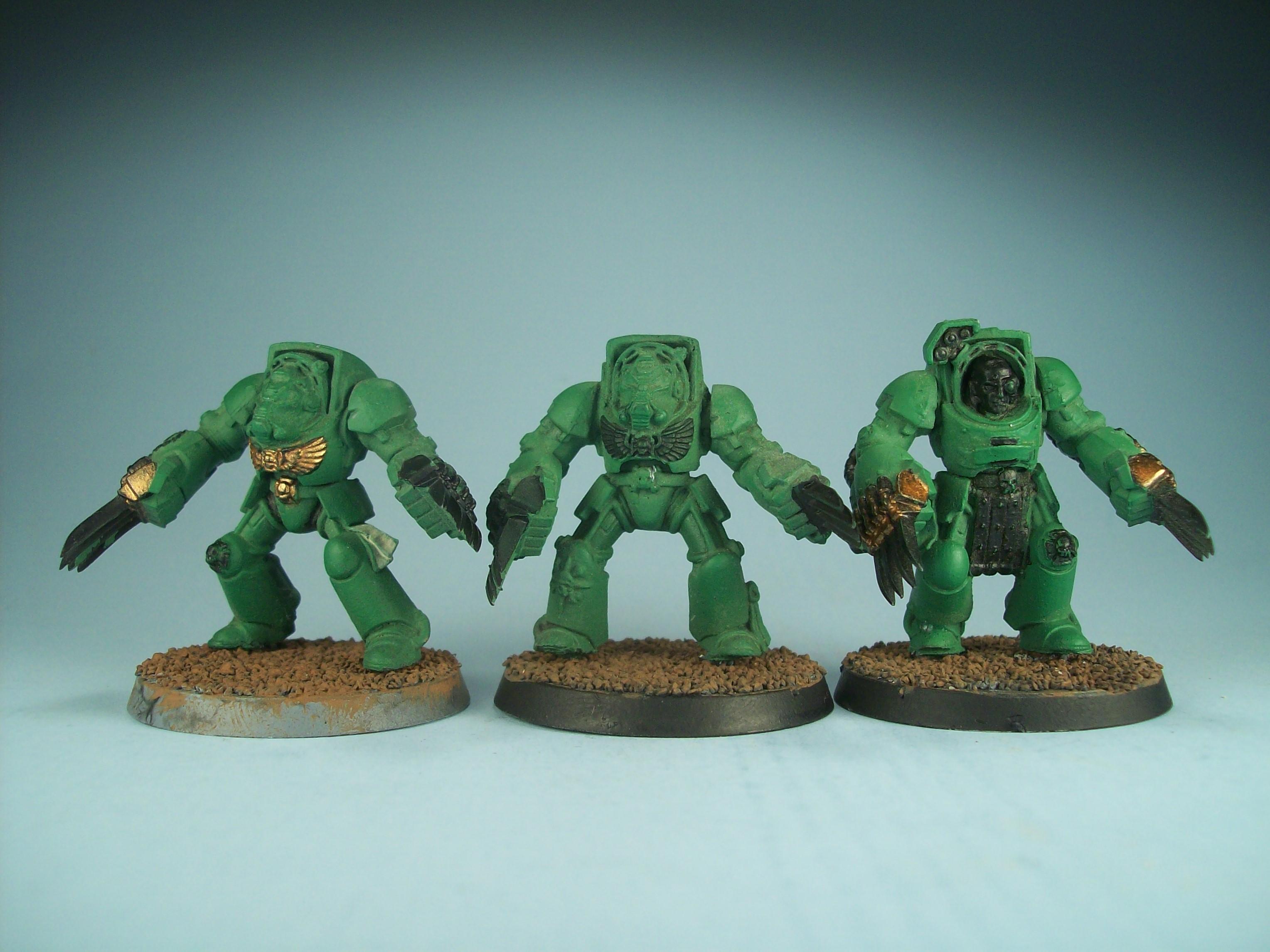 Salamander Terminators Wip