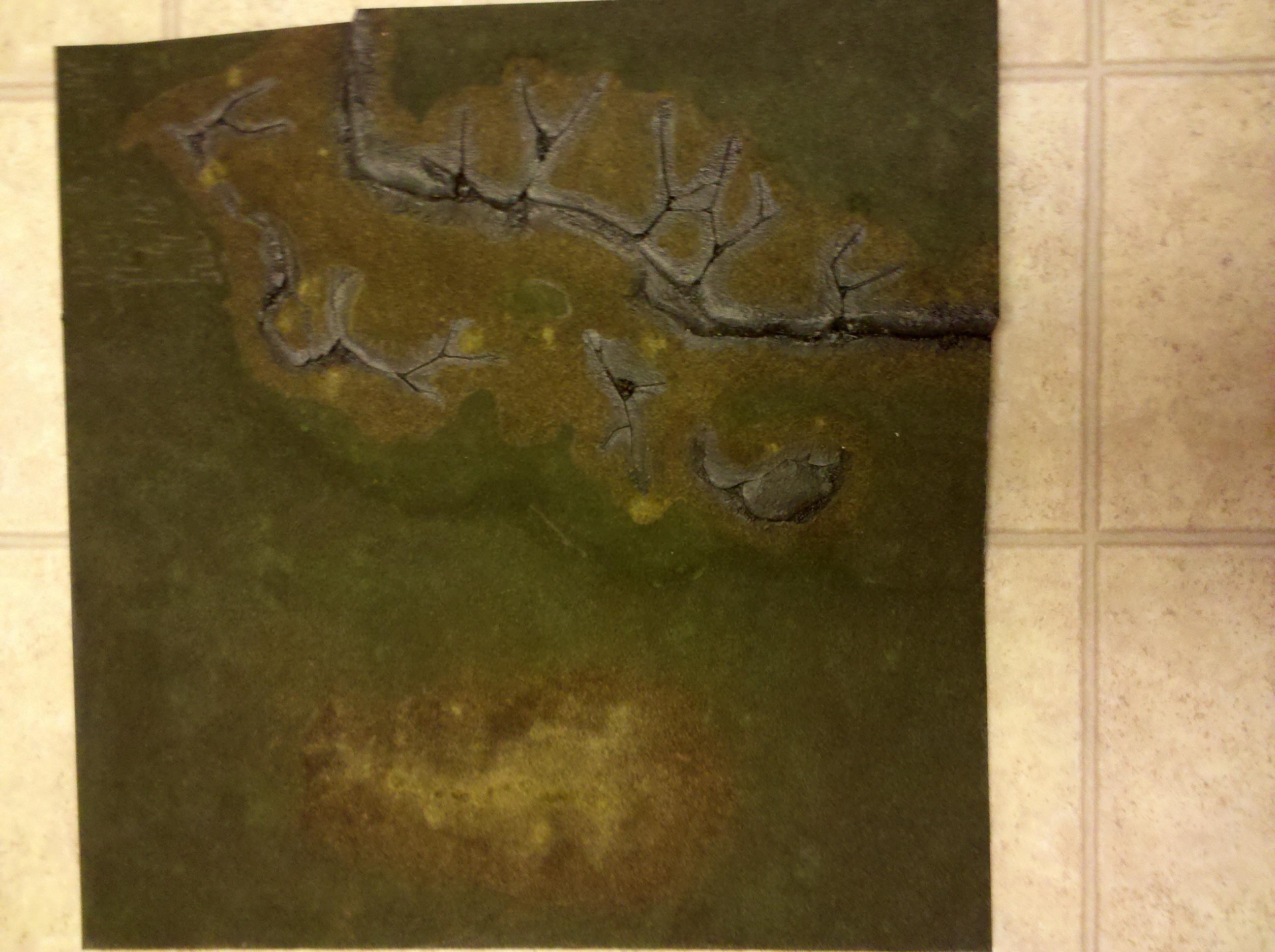 Realm Of Battle Game Board