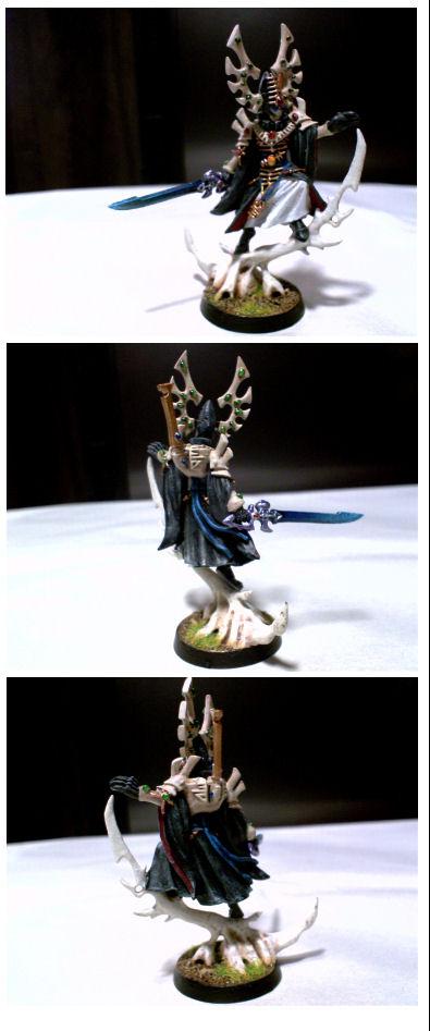 Eldar Farseer/Bonesinger