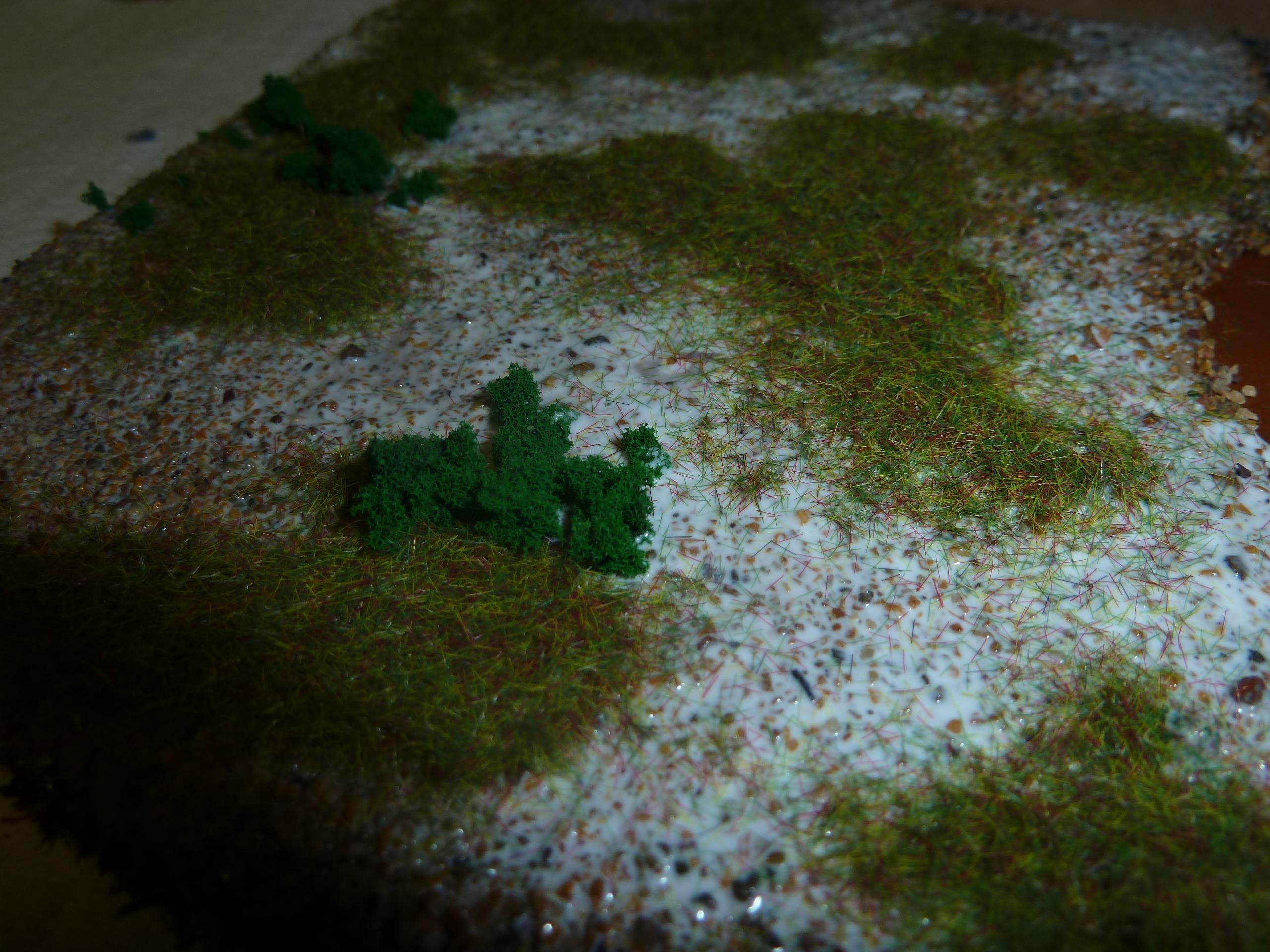 Grass, Terrain