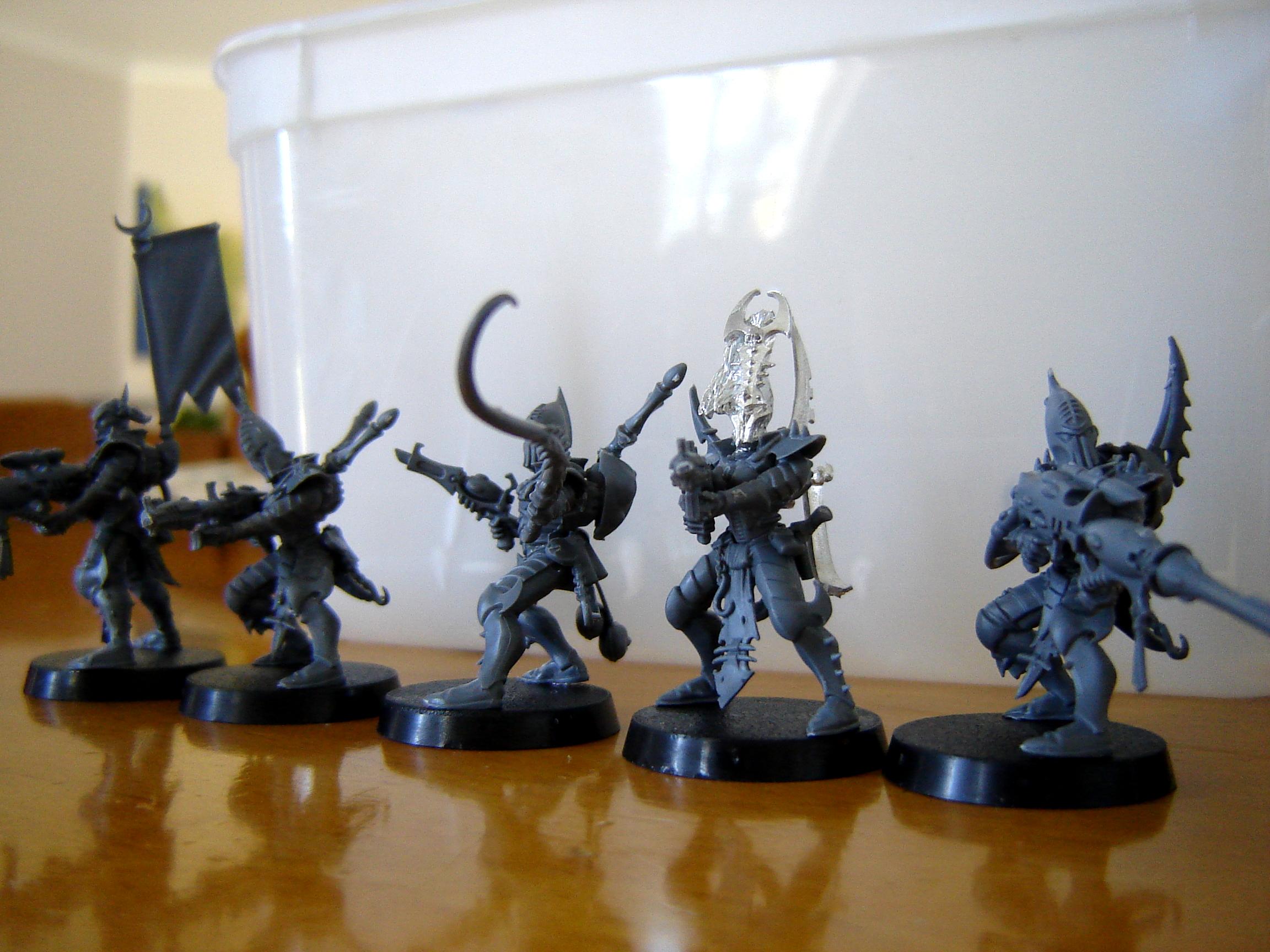 Dark Eldar, Trueborn Side