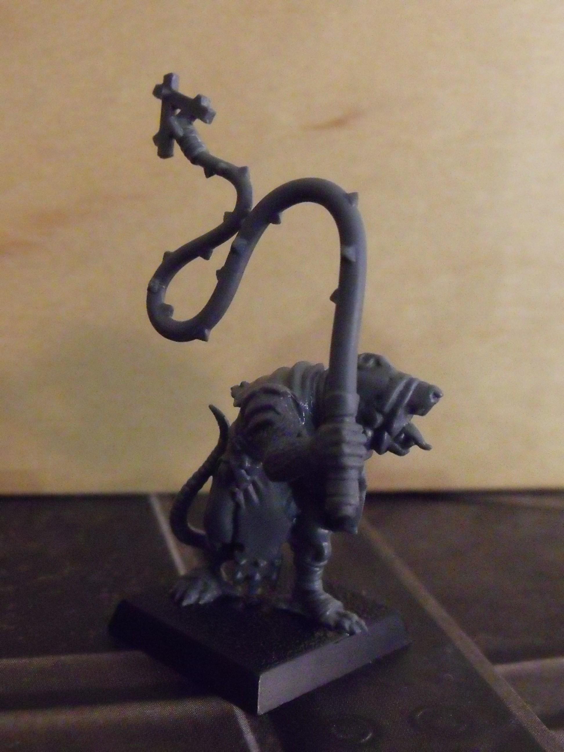 Skavens, The slave leader... with a Pestilen head swap, and a whip to herd those cowardly slaves!!!