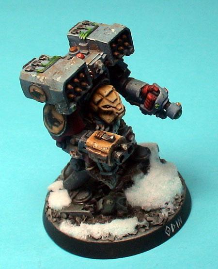 Wolf Guard In Tda