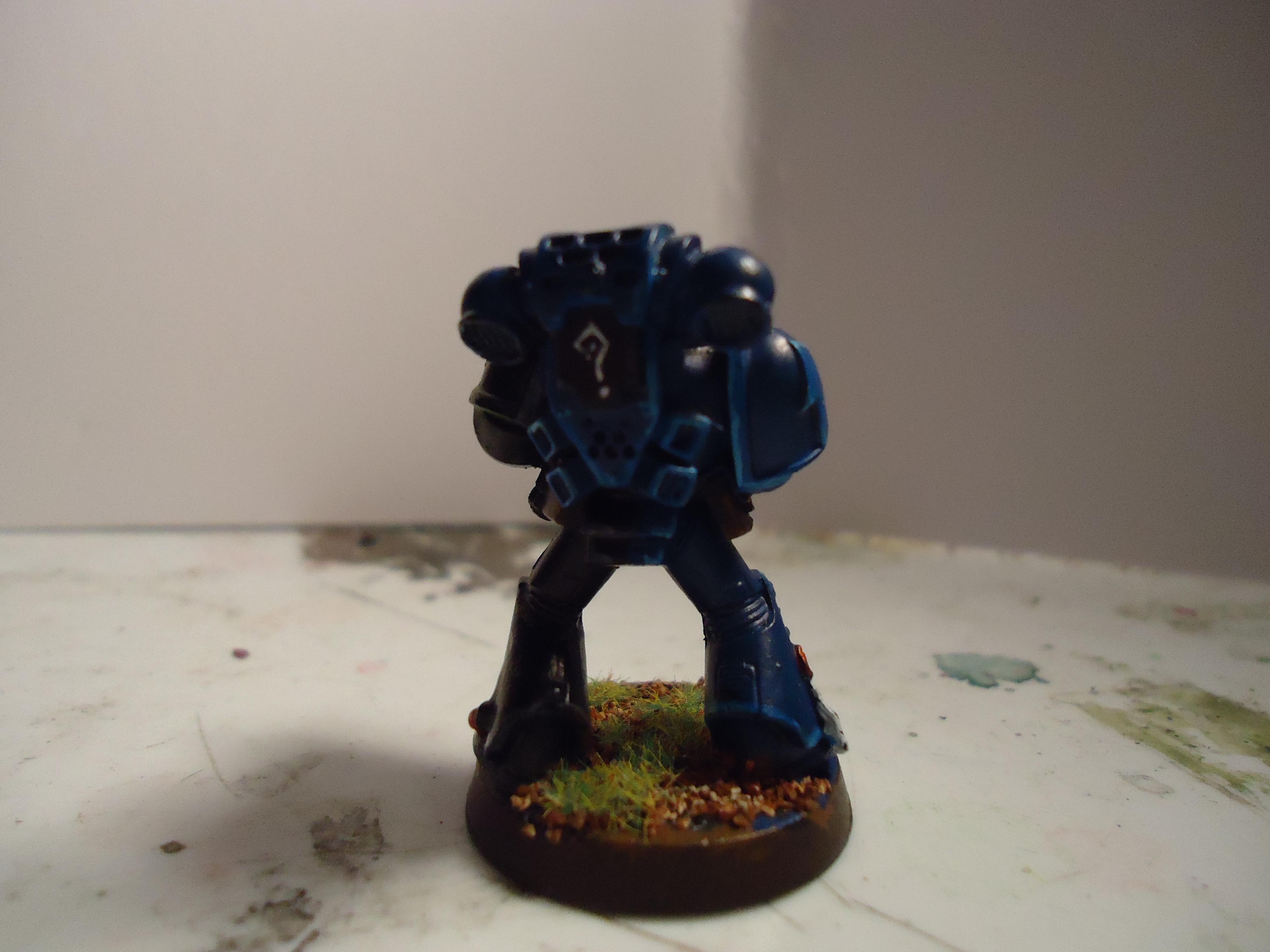 Astartes, Firstborn, Imperial, Space Marines