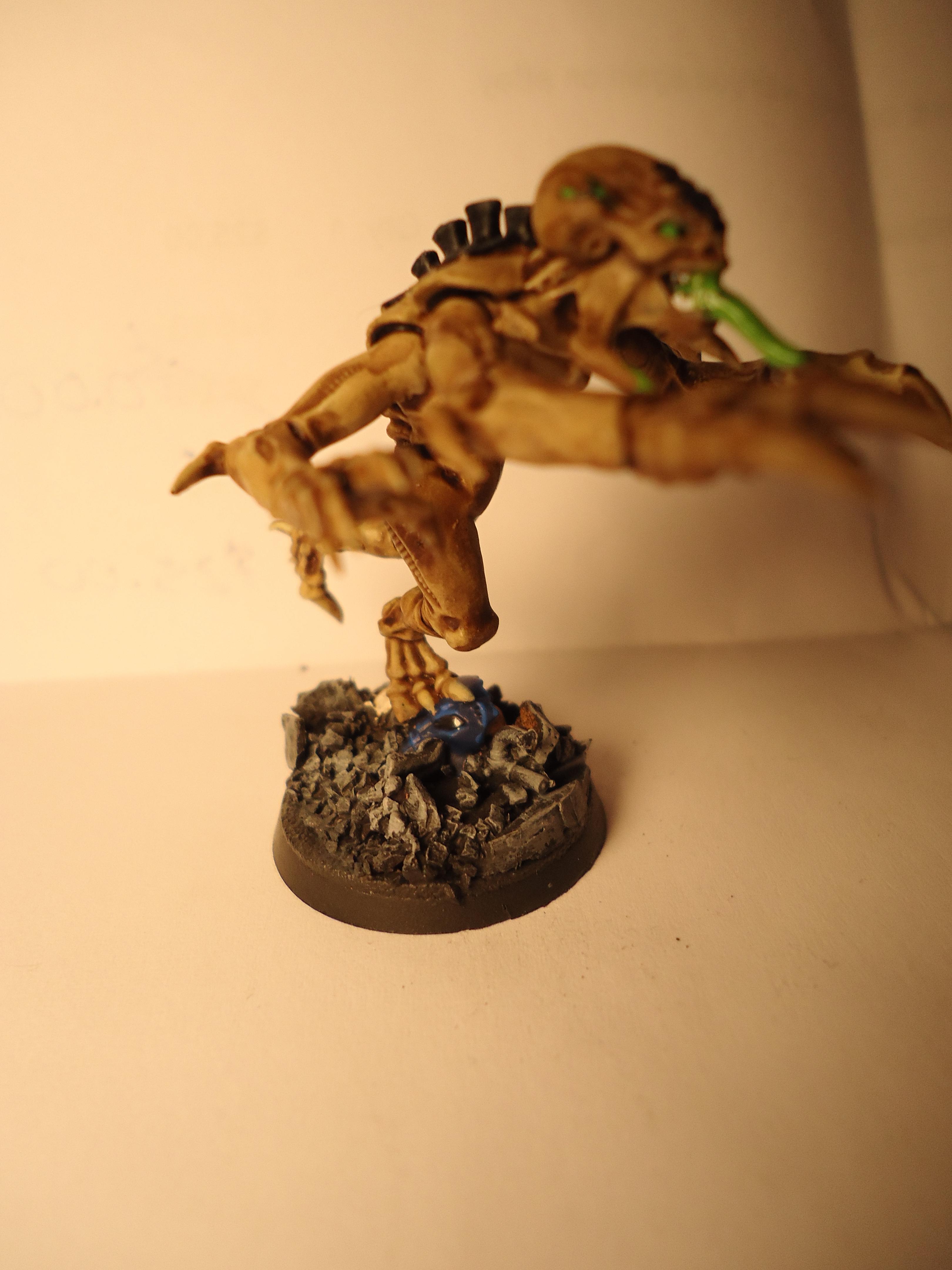 Genestealer, Hive Fleet Oroburos, Nids, Spacehulk, Tyranids