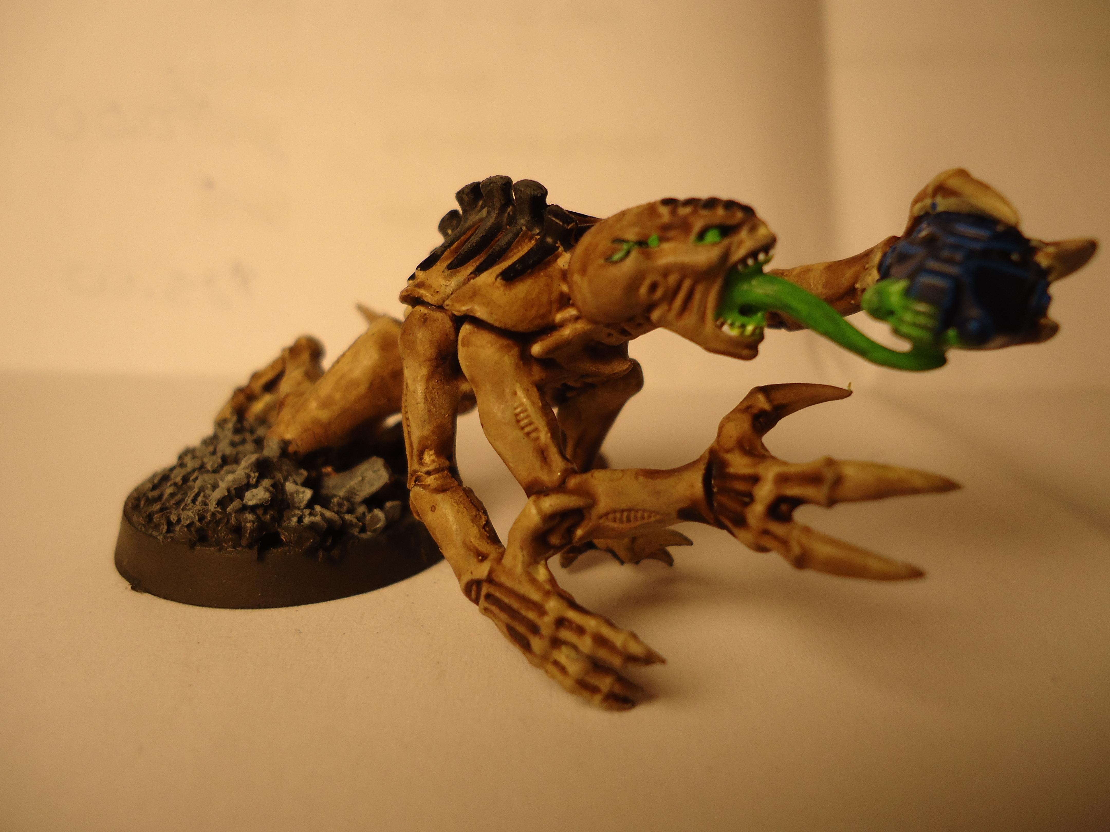 Genestealer, Hive Fleet Oroburos, Nids, Spacehulk, Tyranids