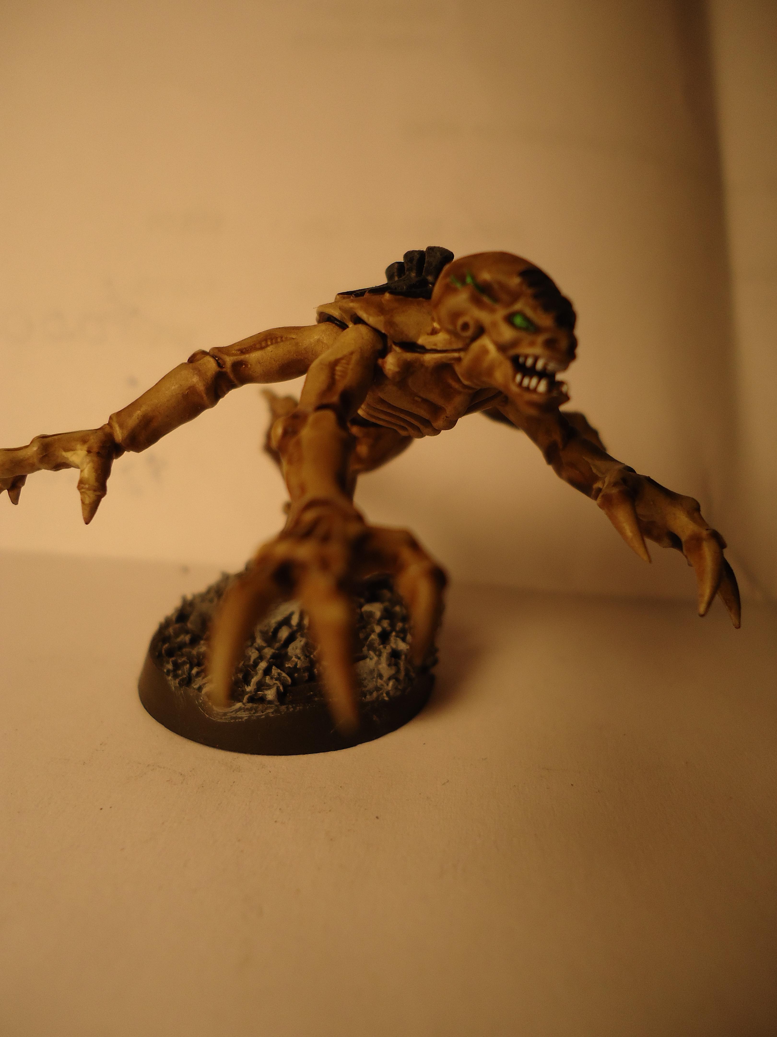Genestealer, Hive Fleet Oroburos, Nids, Spacehulk, Tyranids