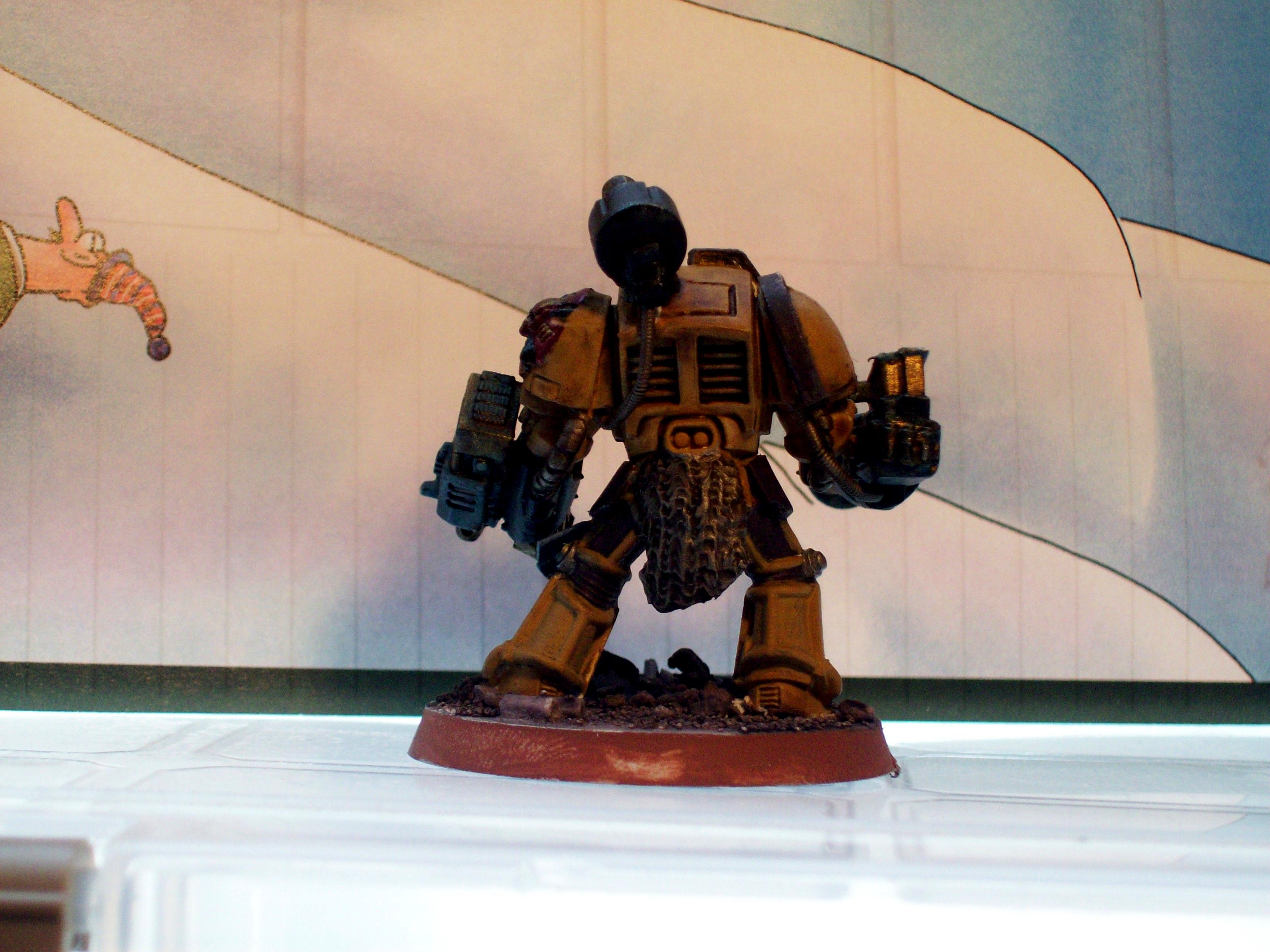 Nifty, Space Marines, Terminator Armor