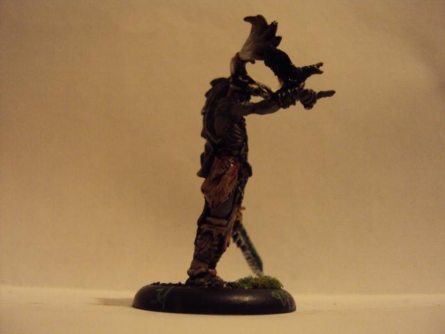 Circle Of Orboros, Hordes, Lord Of The Feast, Privateer Press