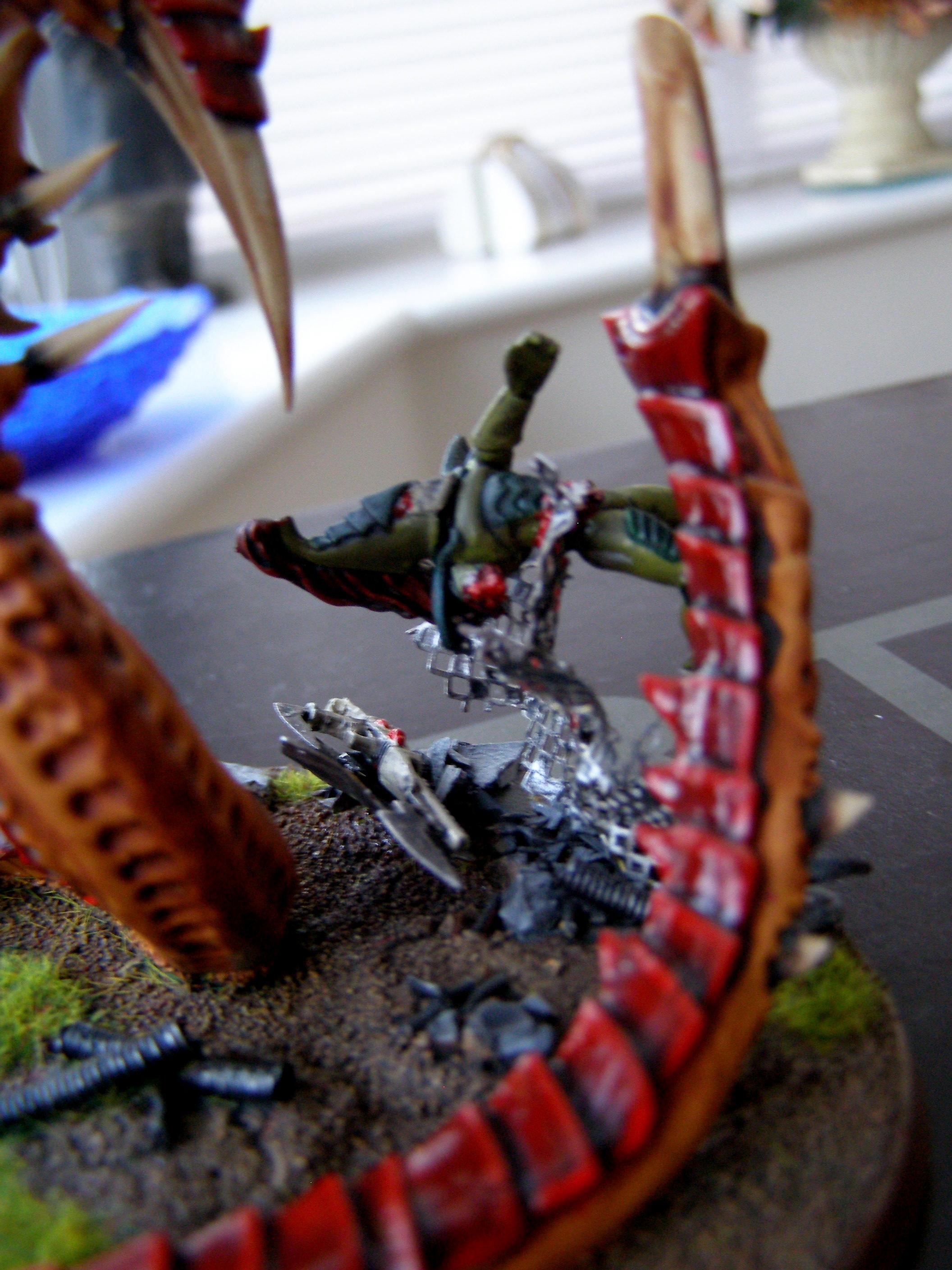 Bug, Mawloc, Trygon, Tyranids