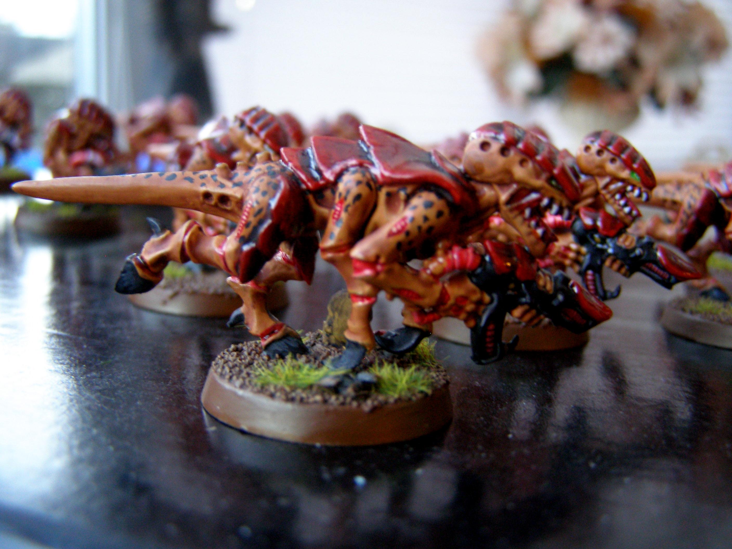 Bugs, Termagants, Tyranids