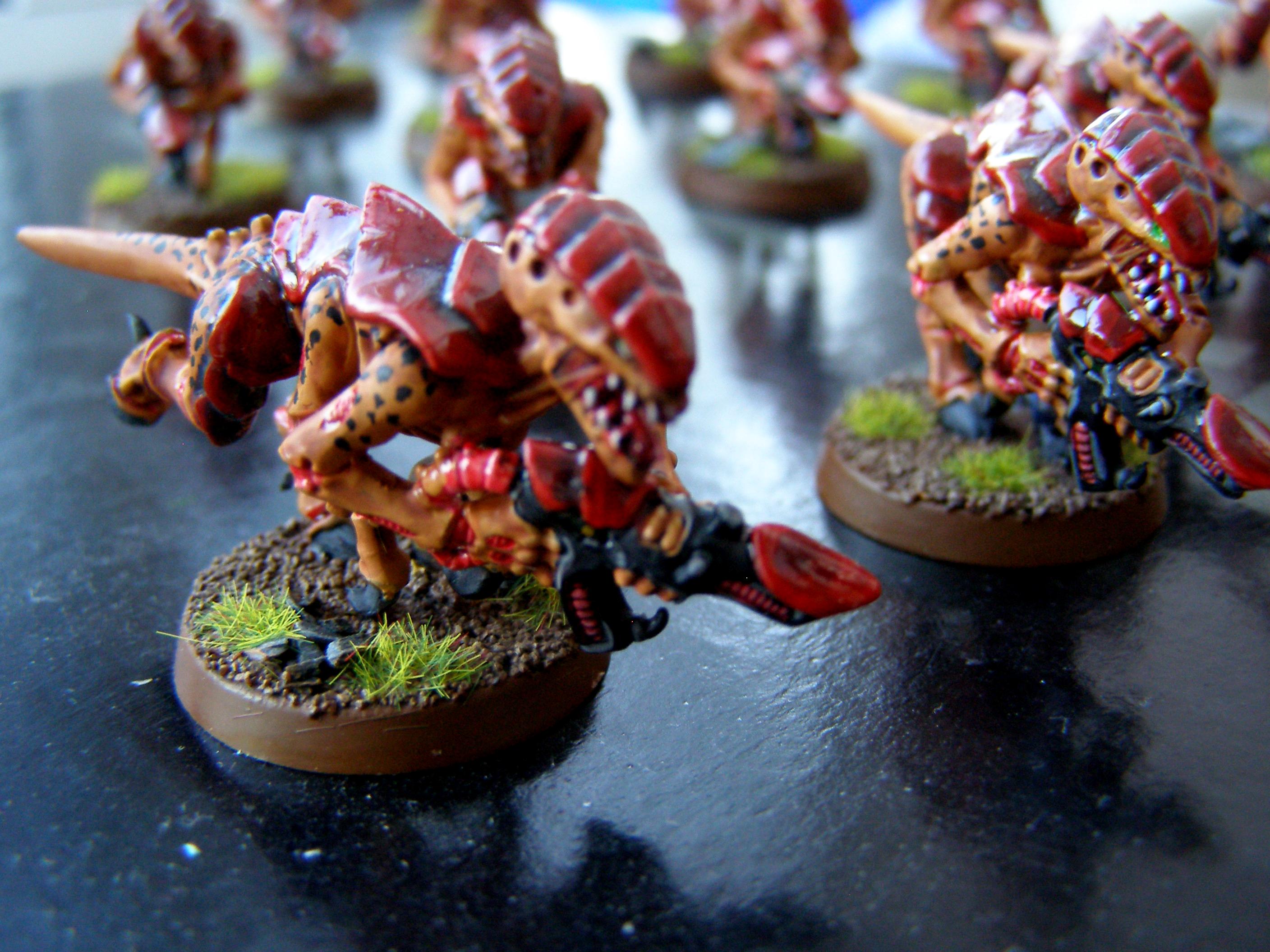 Bugs, Termagants, Tyranids