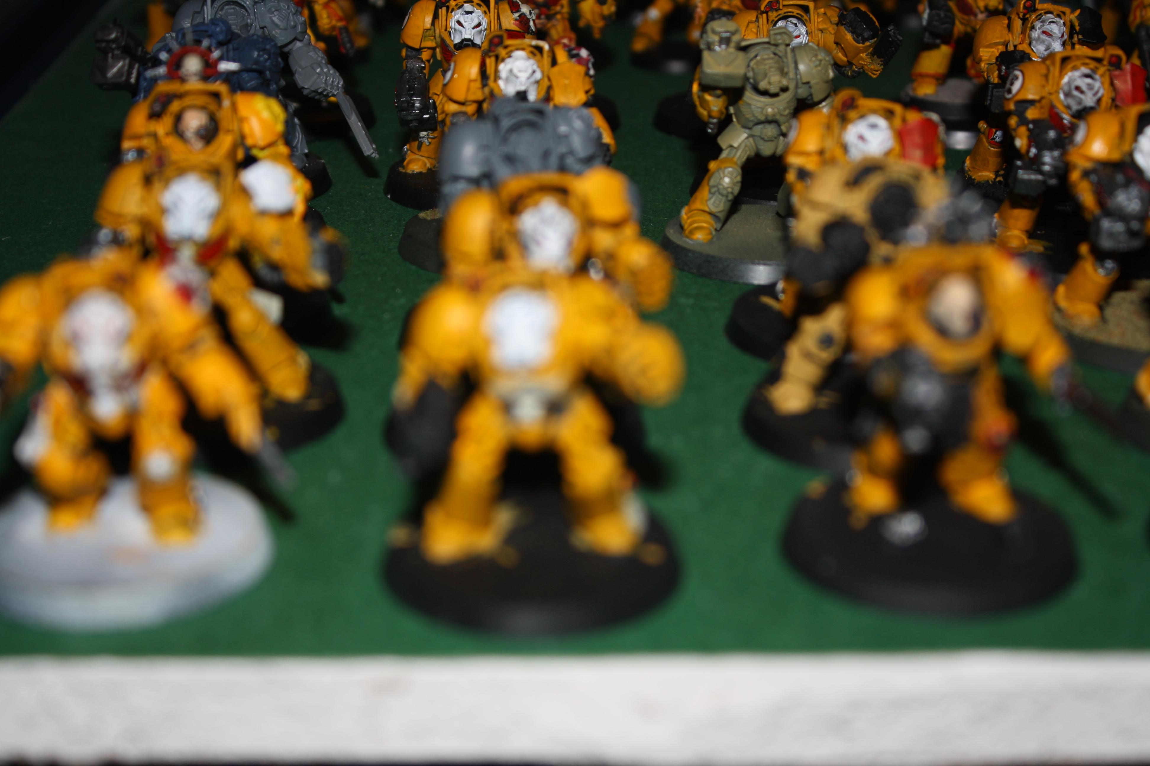 Pip, Space Marines, Terminator Armor, Warhammer 40,000, Whole Army