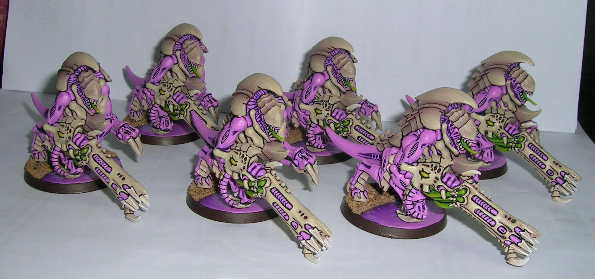 Nard Tyranids, Nards Tyranids, Tyranids