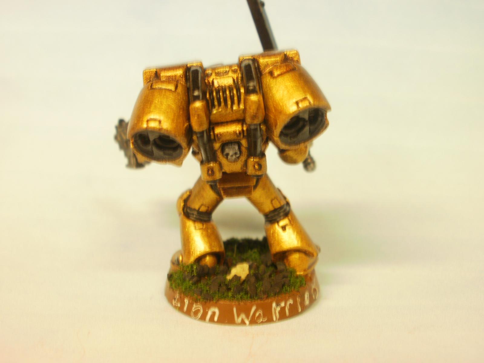 Lion Warriors - rear