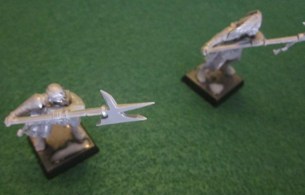 Empire, Halberdiers, State Troops