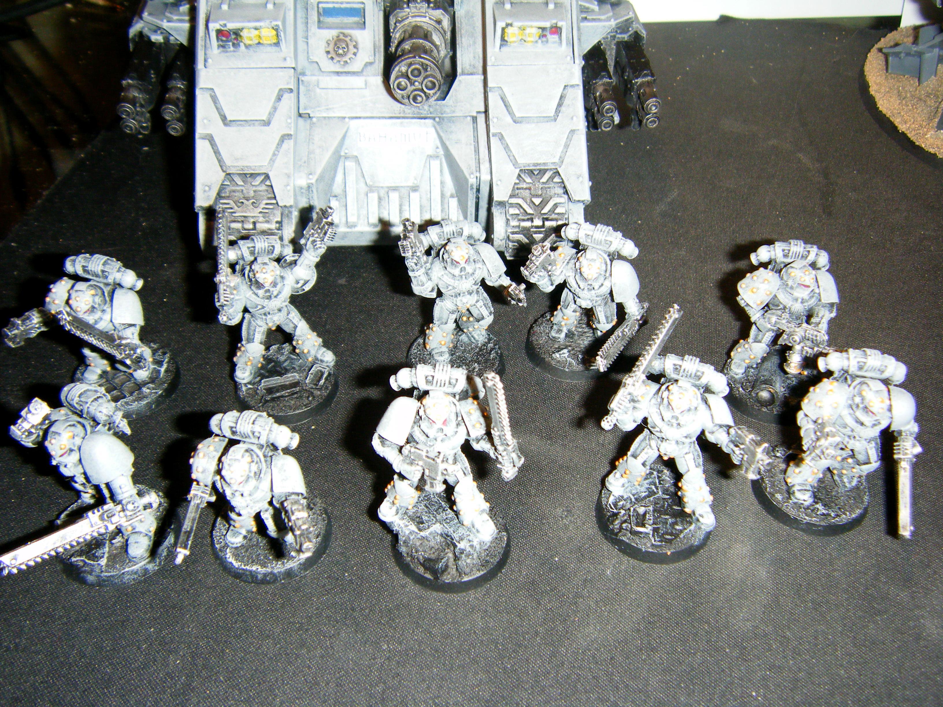 Carcharodons, Space Marines, Tactical
