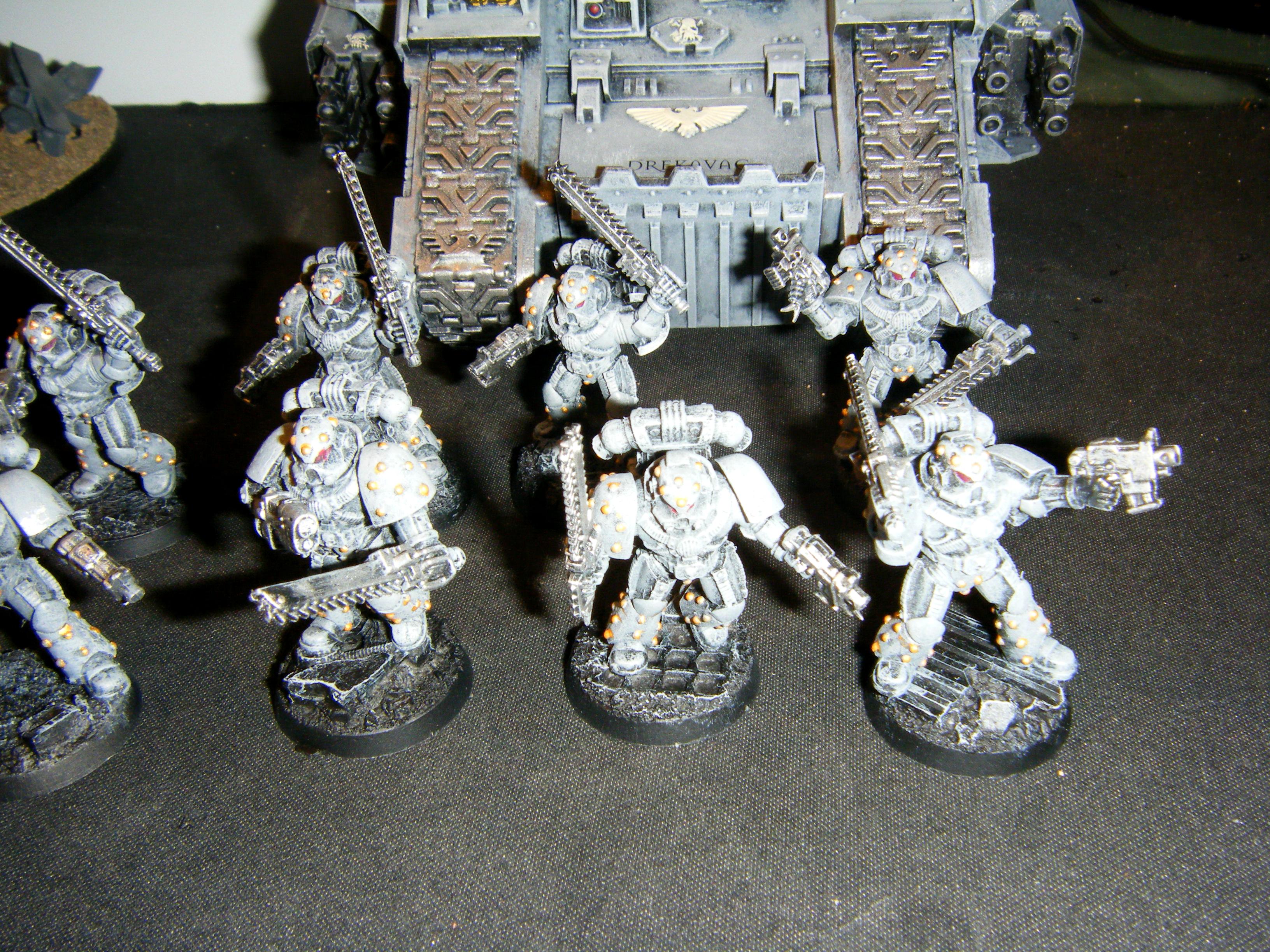 Carcharodons, Space Marines, Tactical