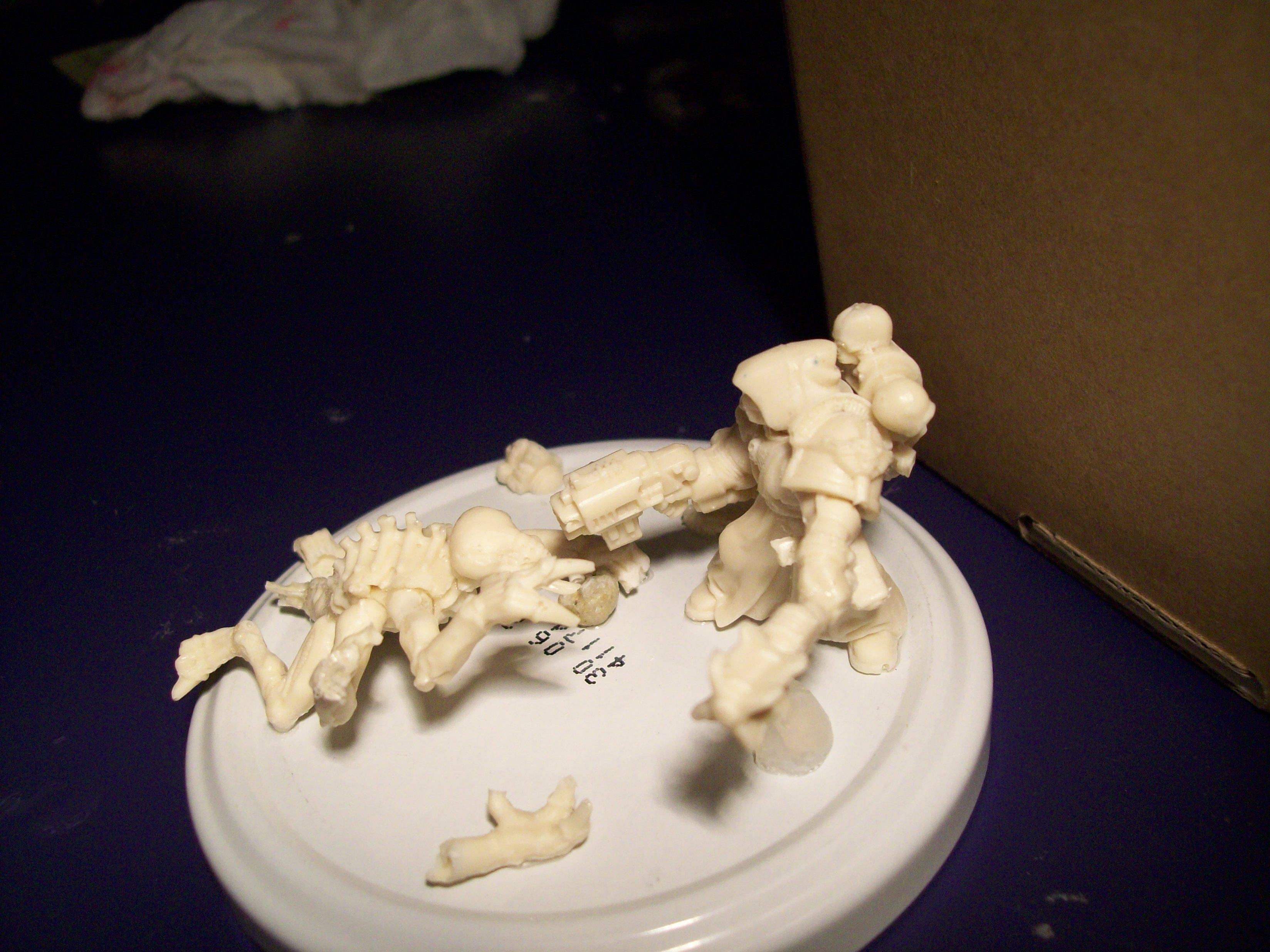 Scratch Build, Space Marines, Tyranids
