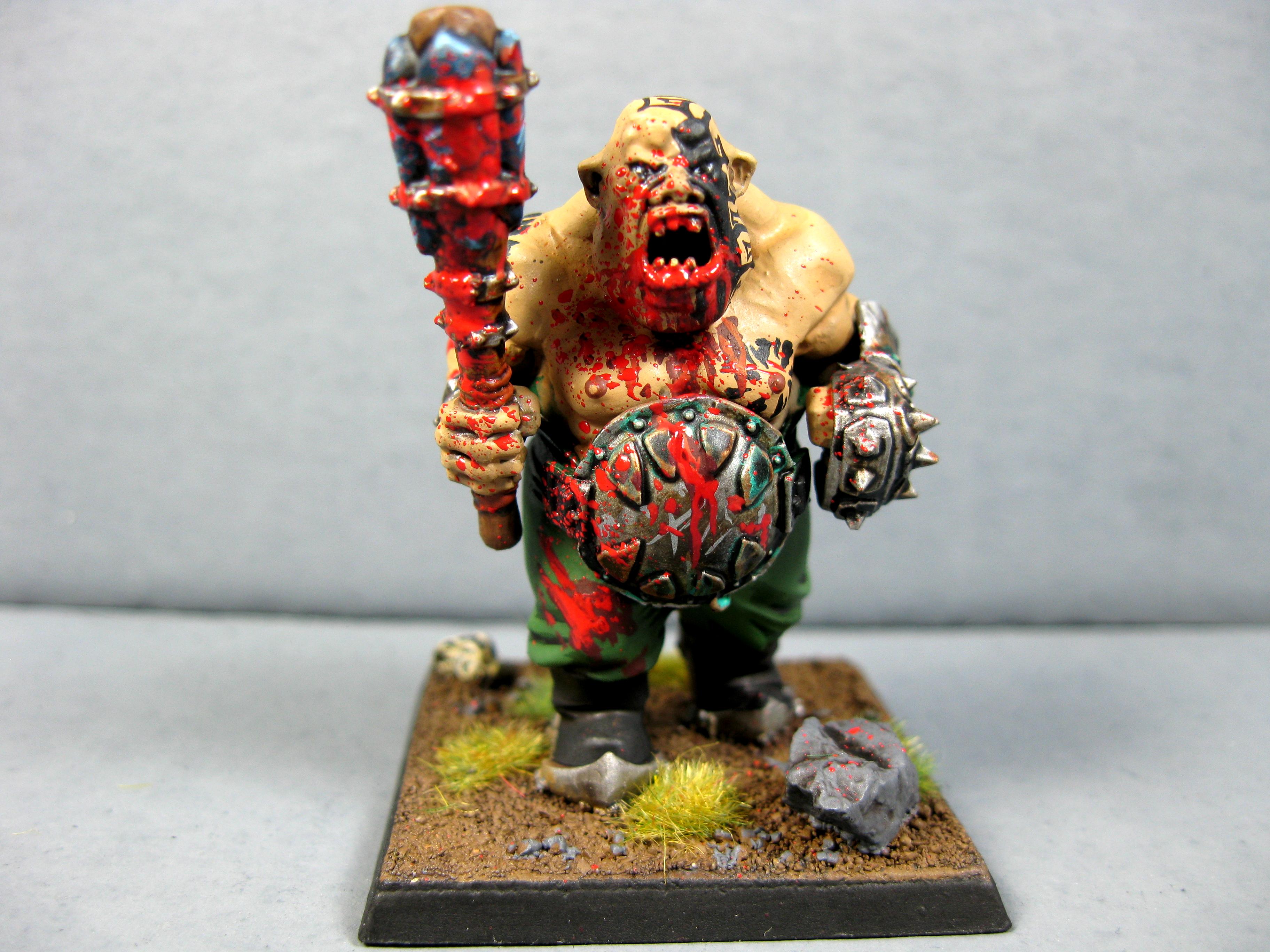 Ogre Kingdomes, Ogres, Pro Painted, Warhammer Fantasy