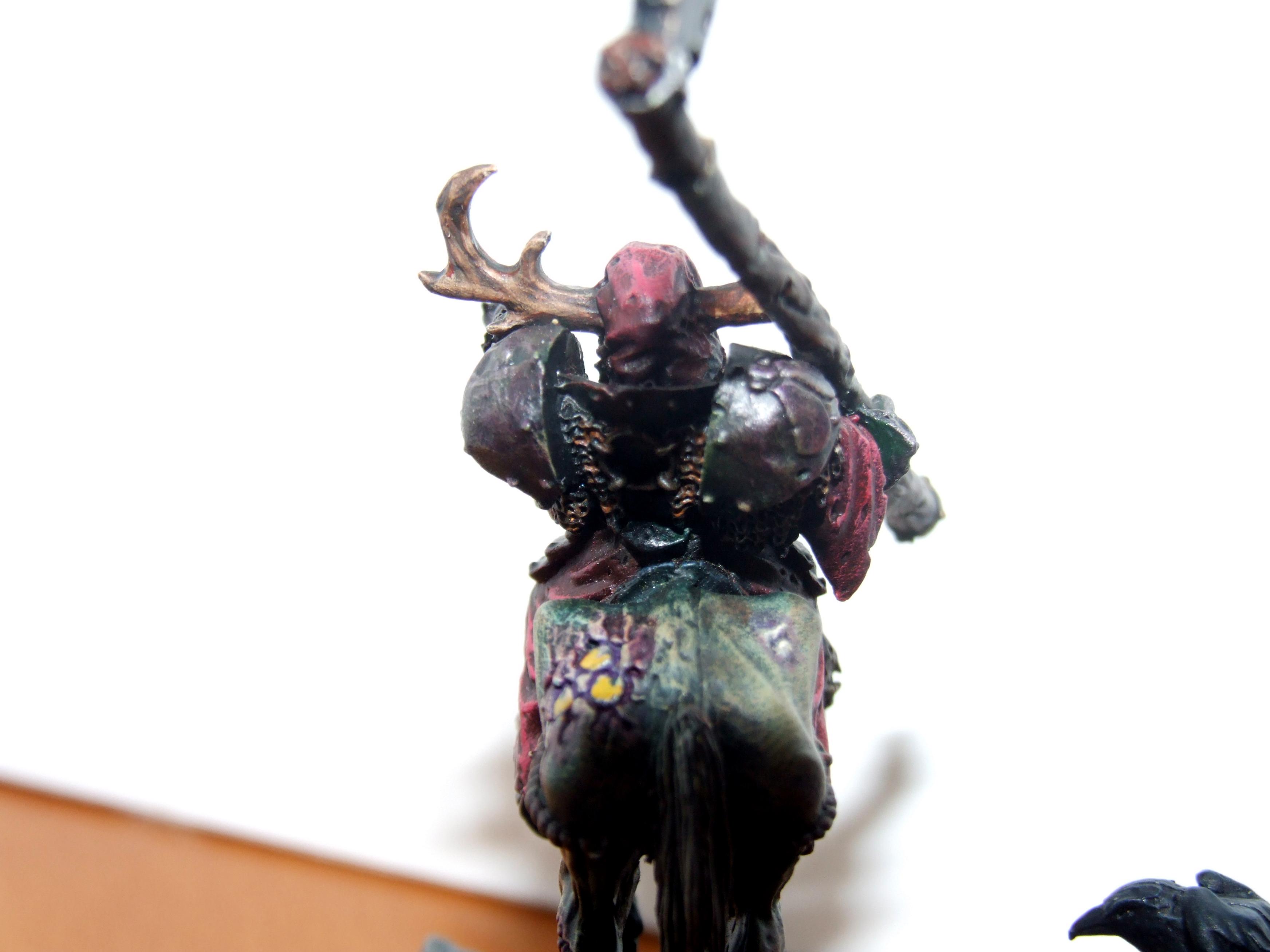 Whfb Nurge Lord, Rear