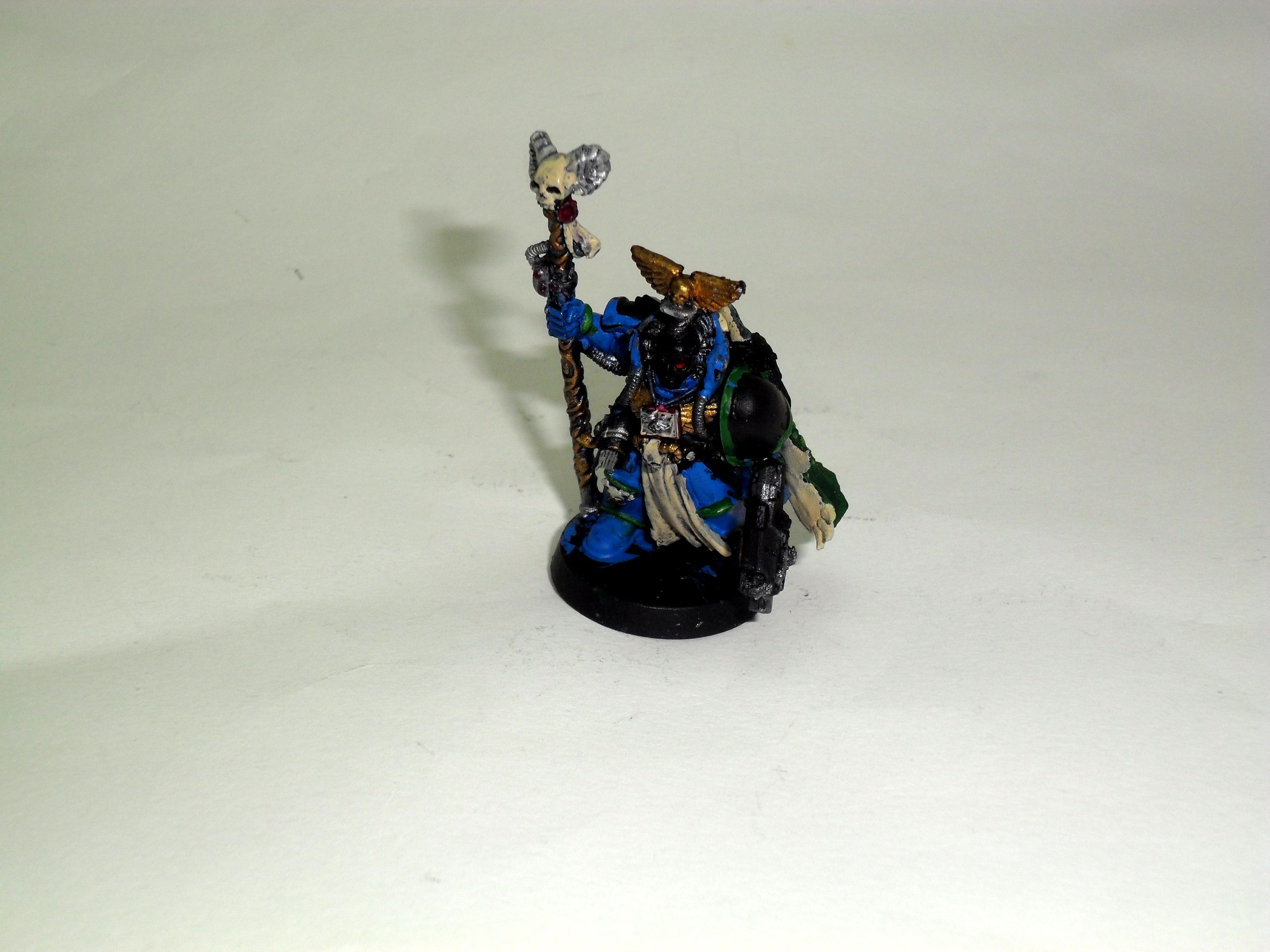 Salamanders, Librararian - 01