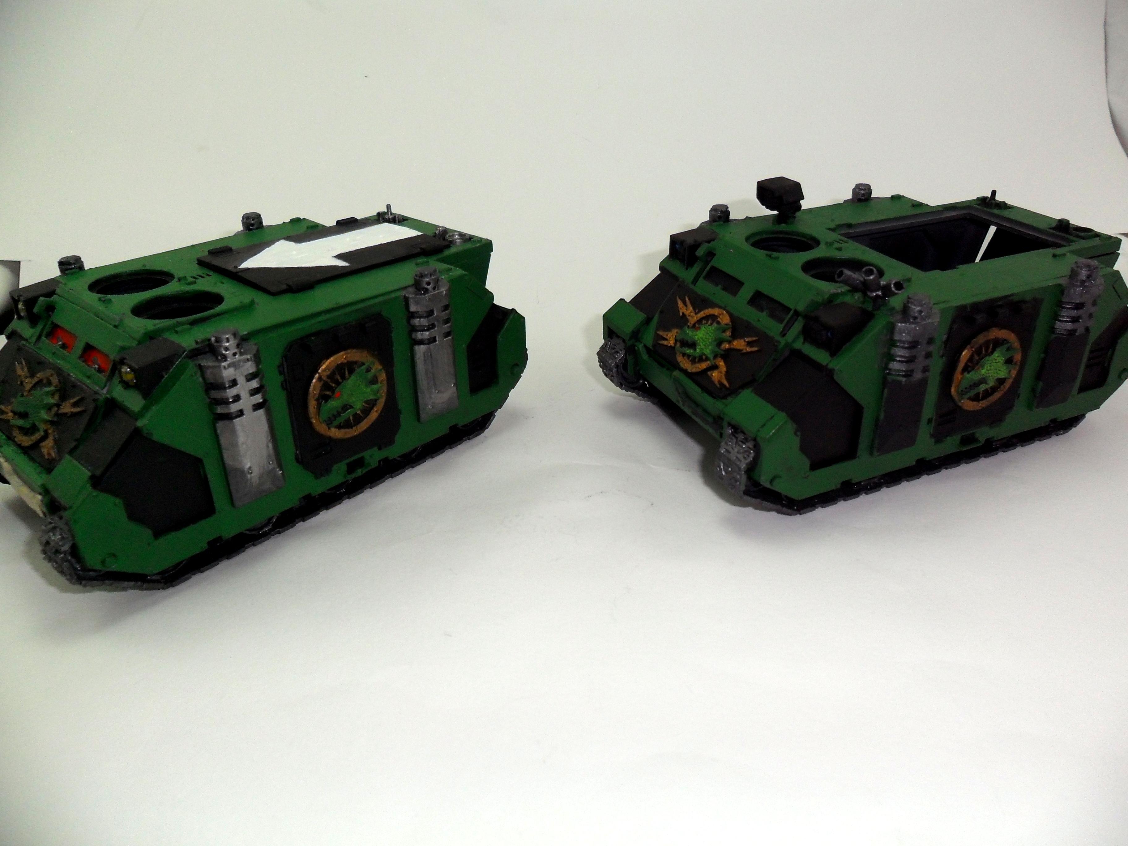 Salamanders, rhino 1g