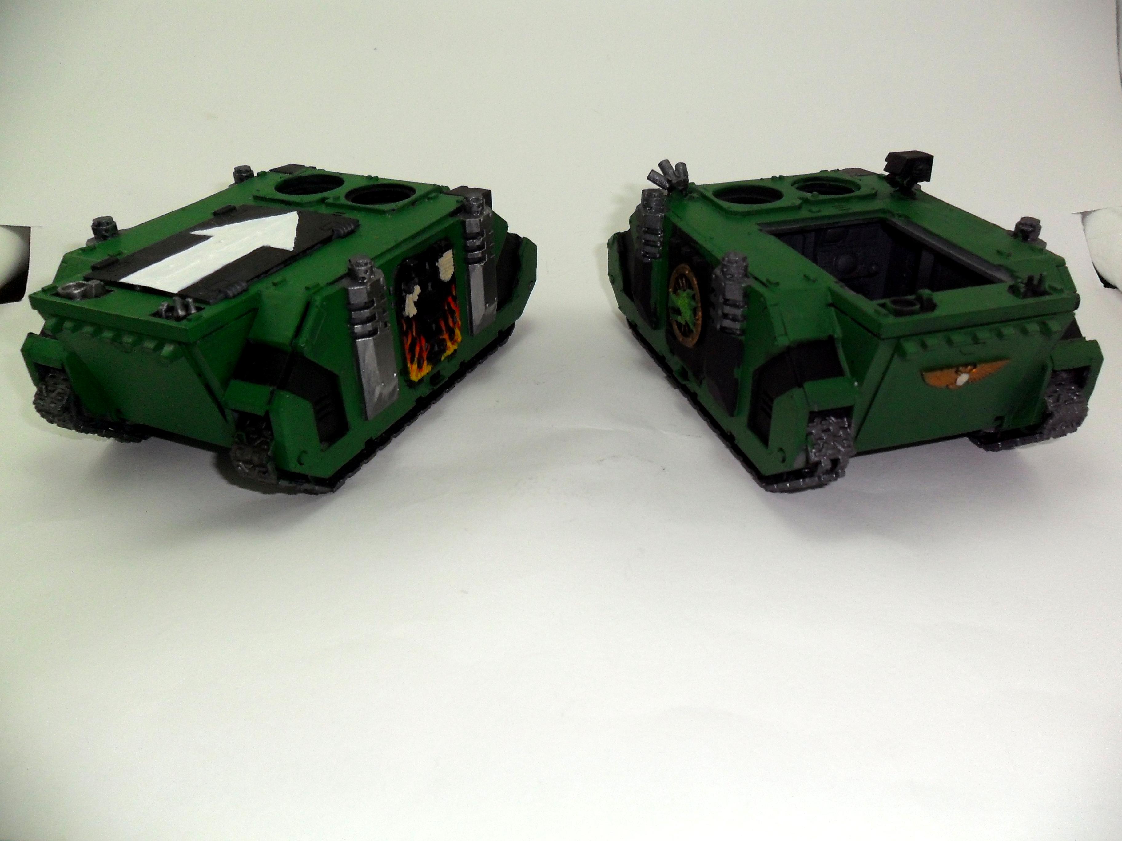 Salamanders, rhino 1h