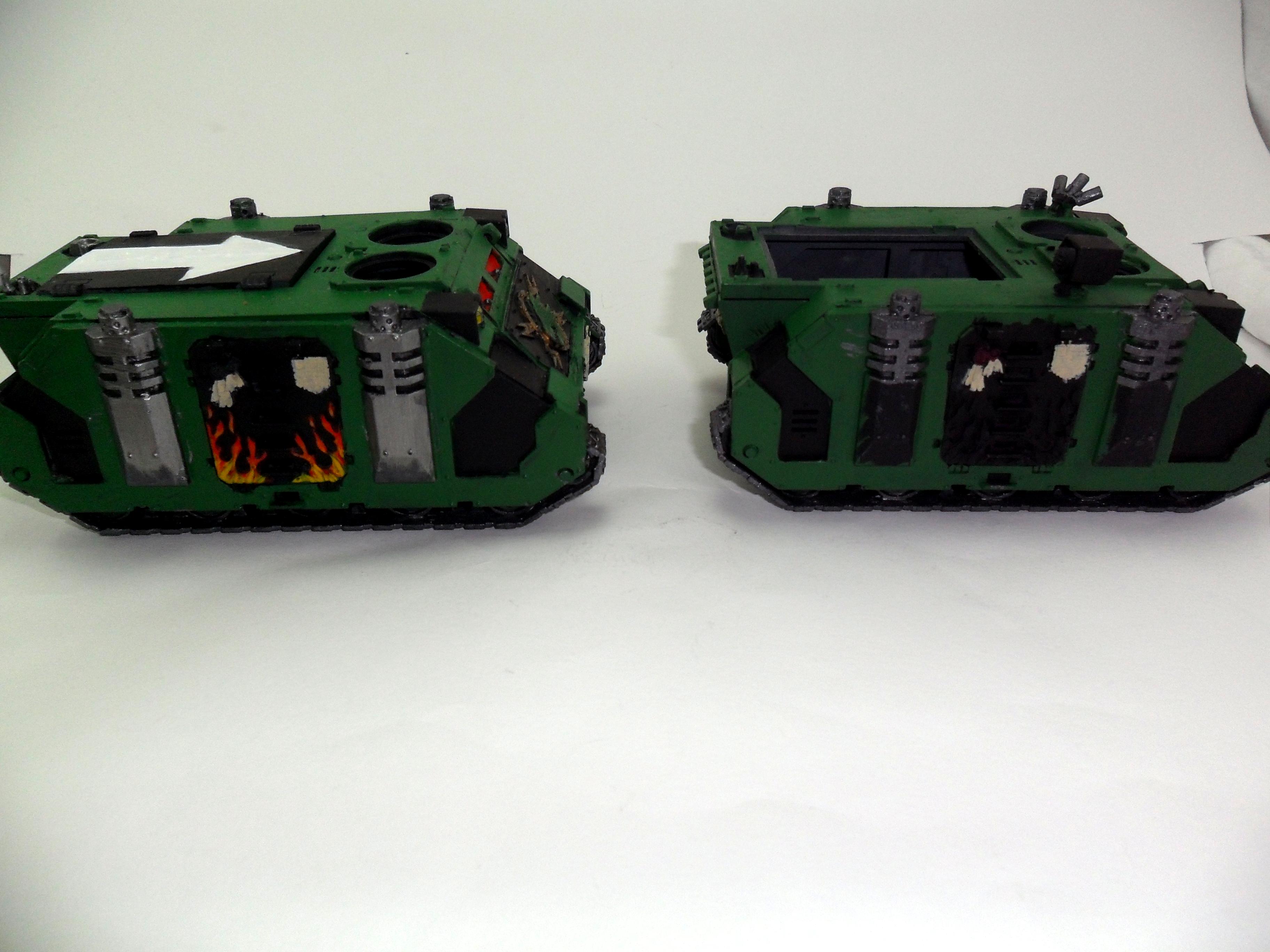 Salamanders, rhino 1i